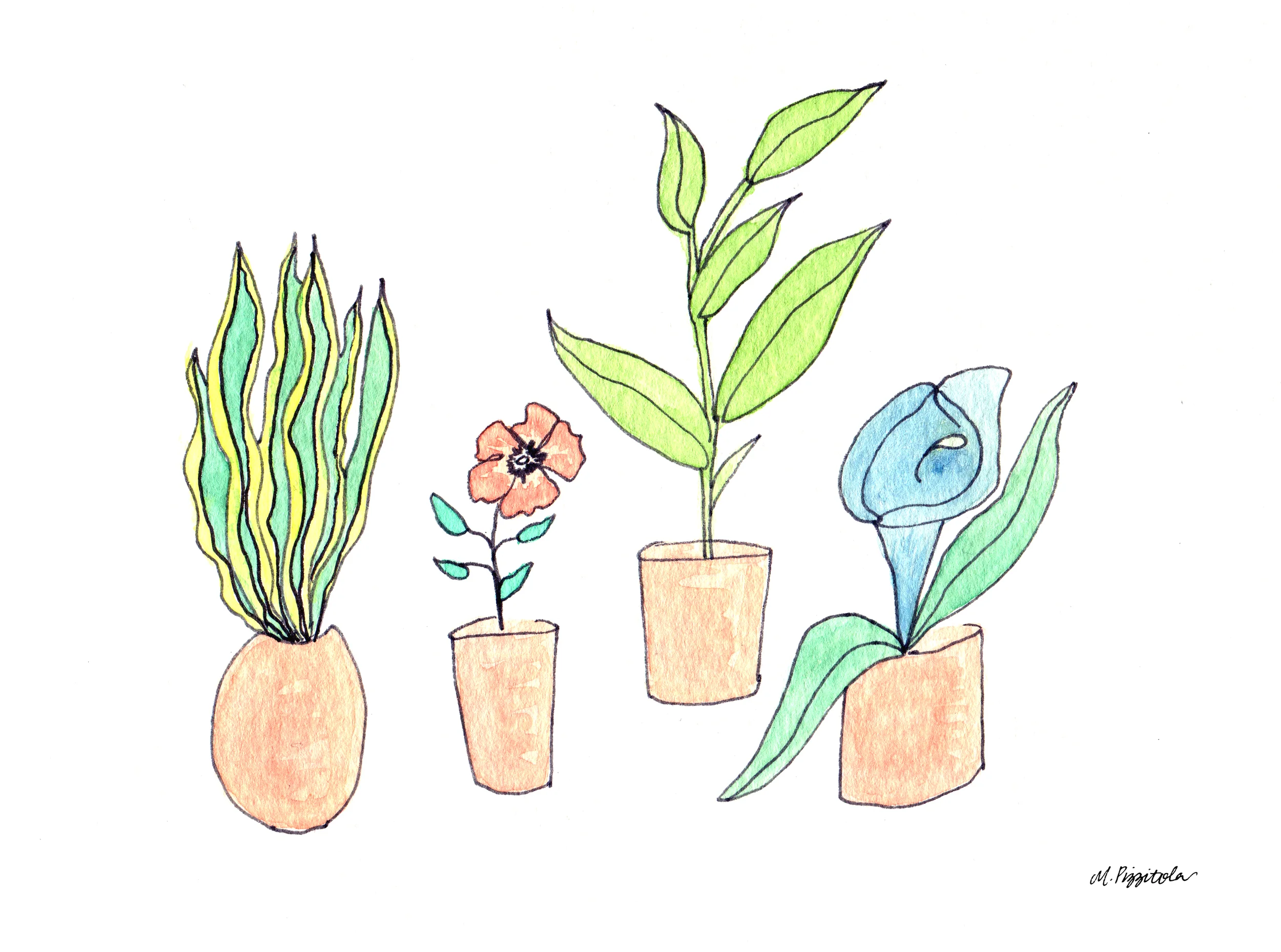 4 Houseplants