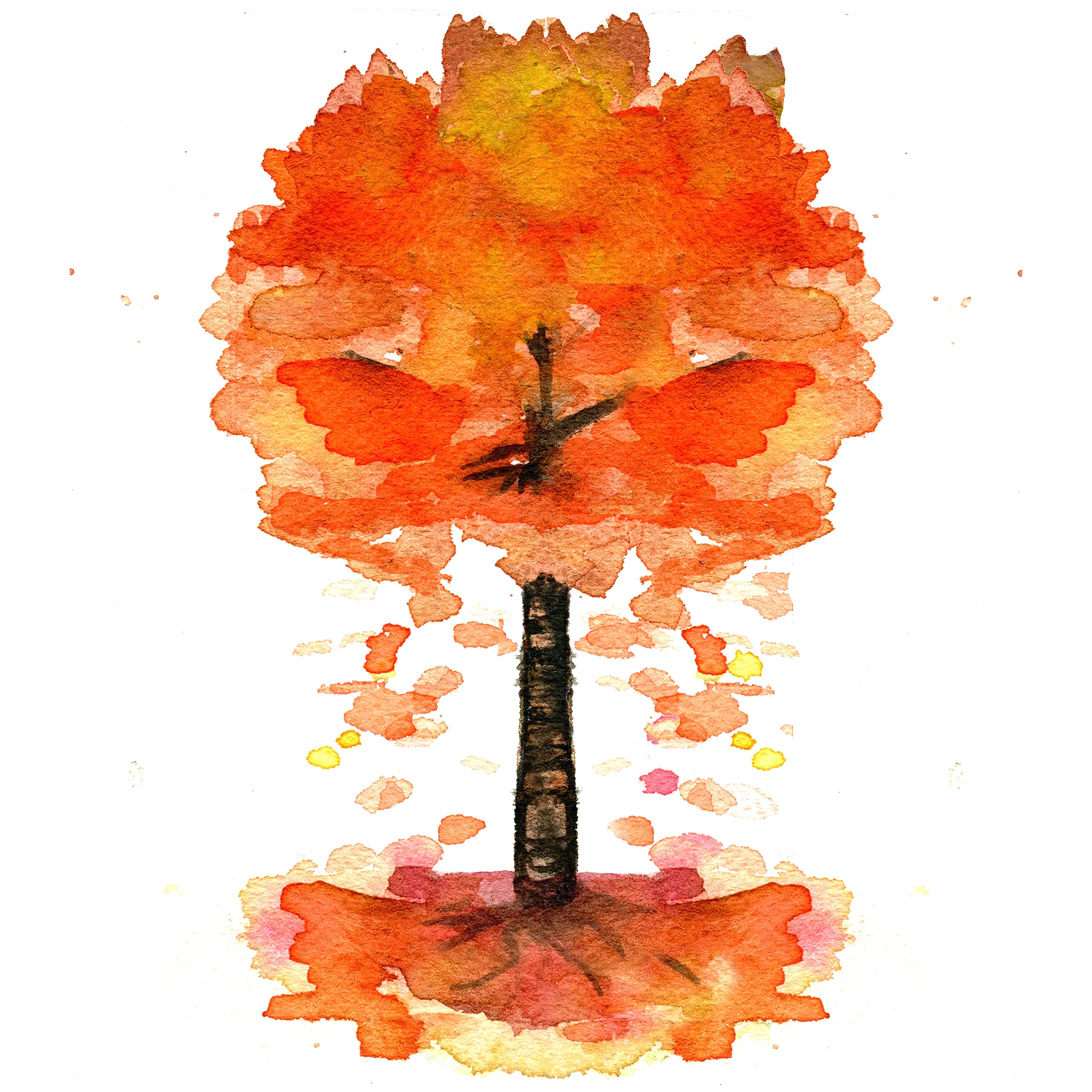 Fall Tree.jpg