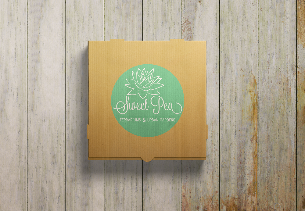 Sweet Pea Terrariums / Gift Box