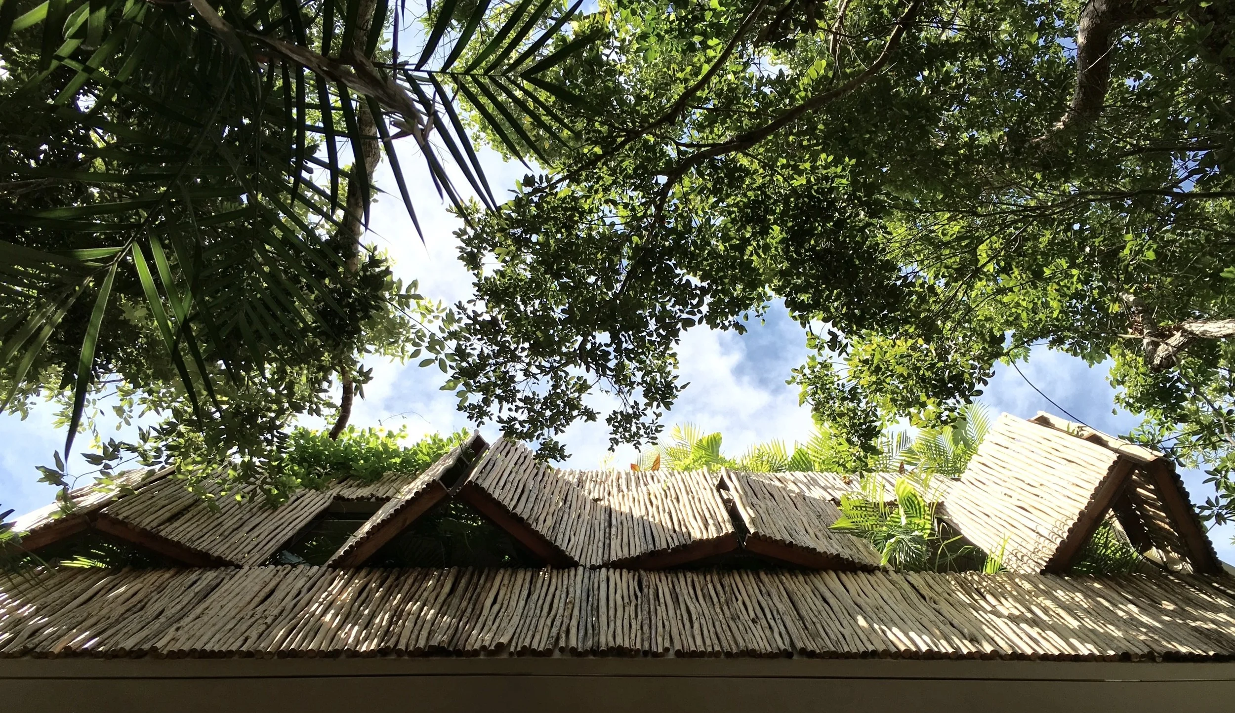 ARTIA | TULUM | MX