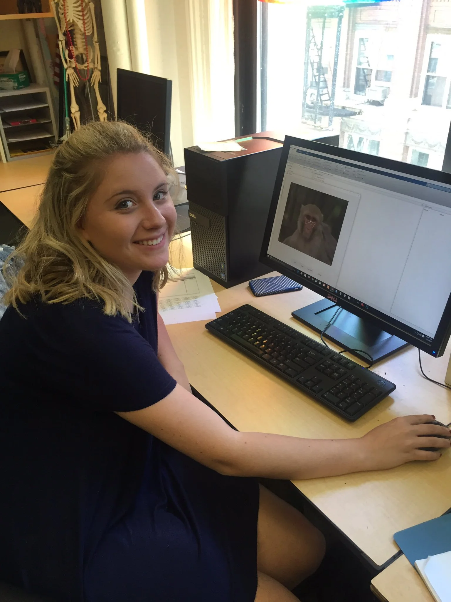 Flavia (undergraduate intern) measuring images of rhesus macaque faces.