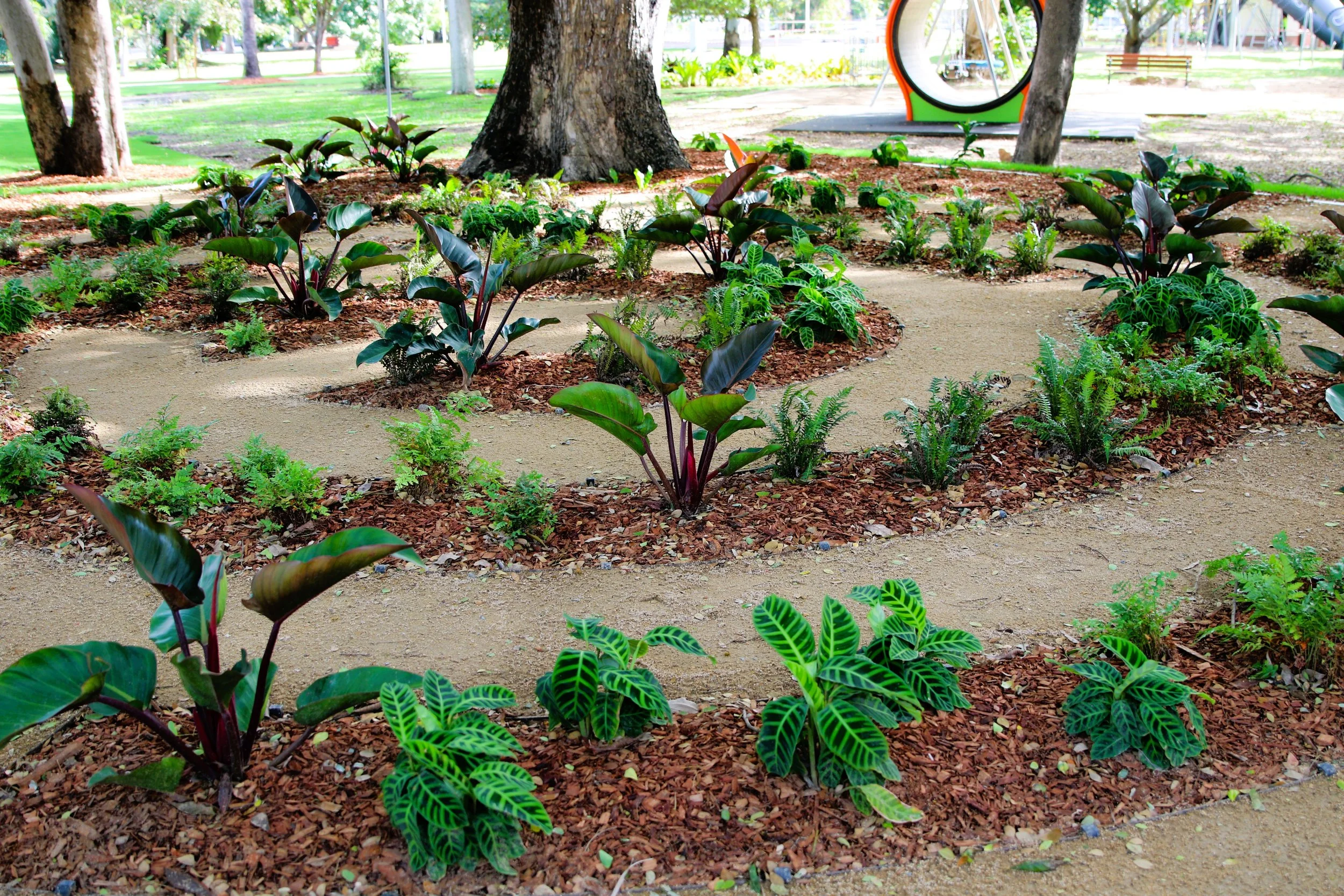 Queens Park Mackay stabilised with Soilbond.JPG