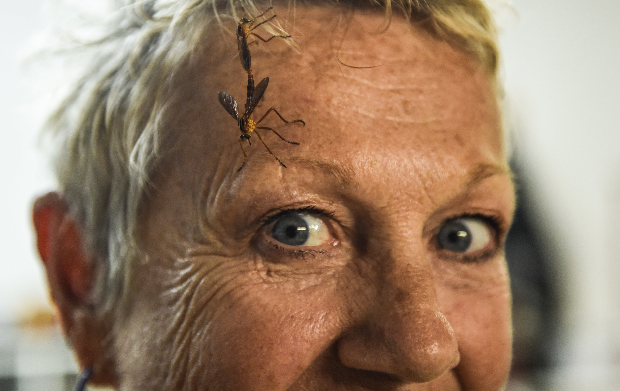  Two mating insects land on the face of a witch celebrating Lammas and the New Moon, Saturday, Aug. 11, 2018. The celebration commemorates the coming harvest, and the new moon represents the start of something new. 