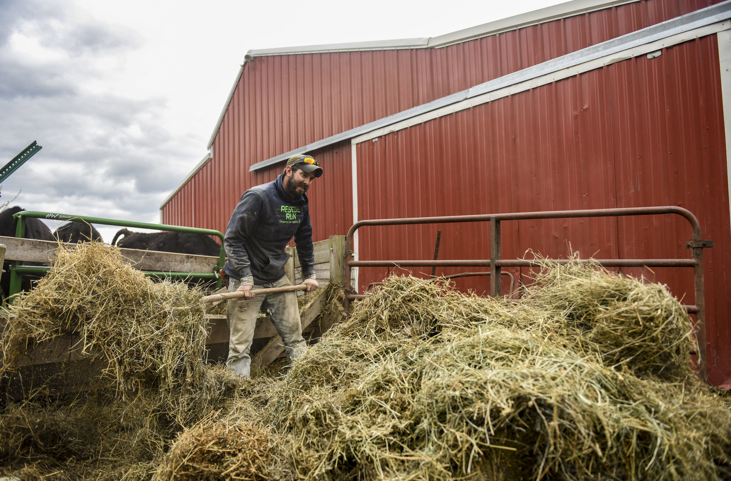  Tom DePauw removes old hay from the winter at Trinity Acres May 11 in Port Byron. 