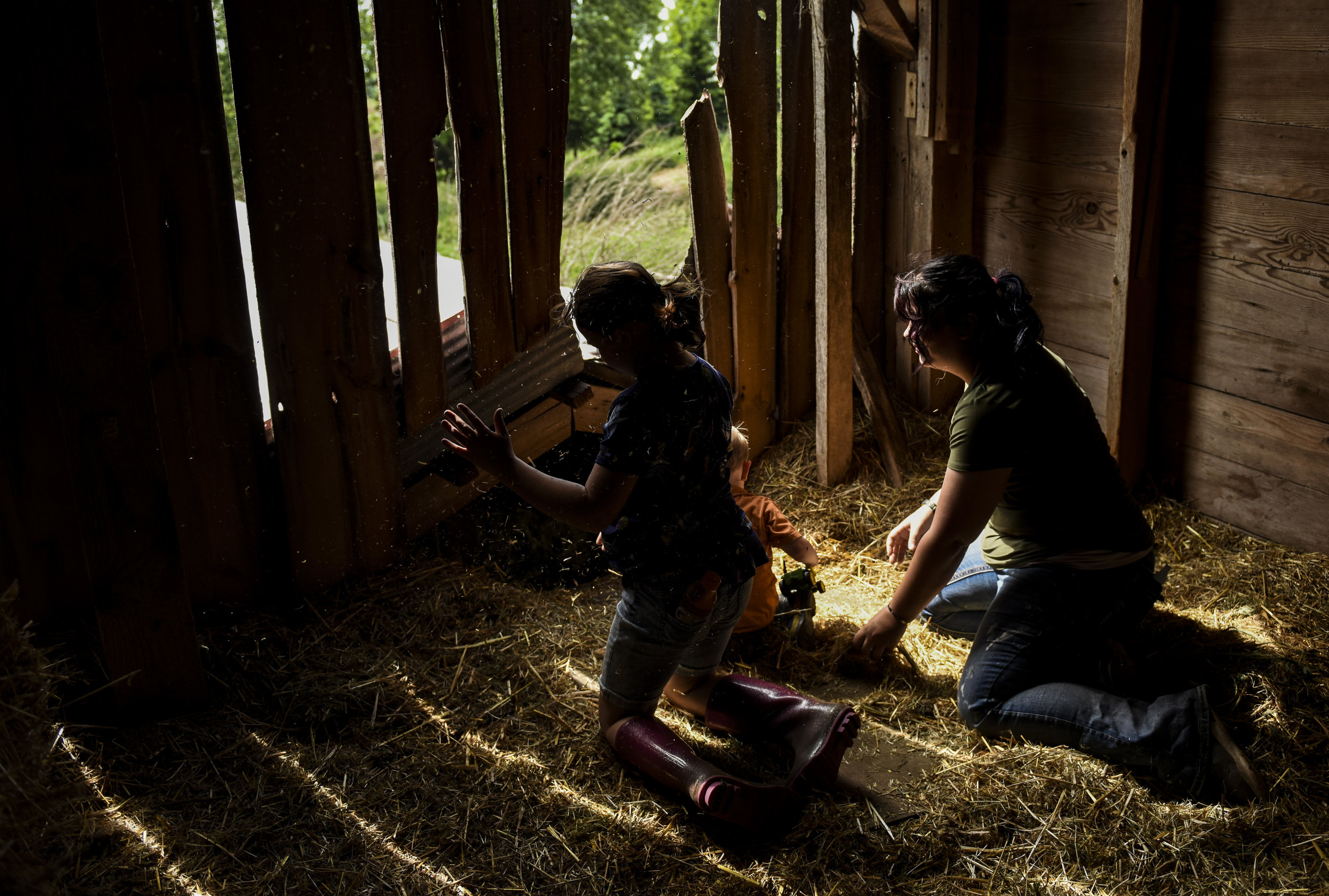  Myranda, Theo, and their mother look through a hole in a hay storage building June 4 in Port Byron. 