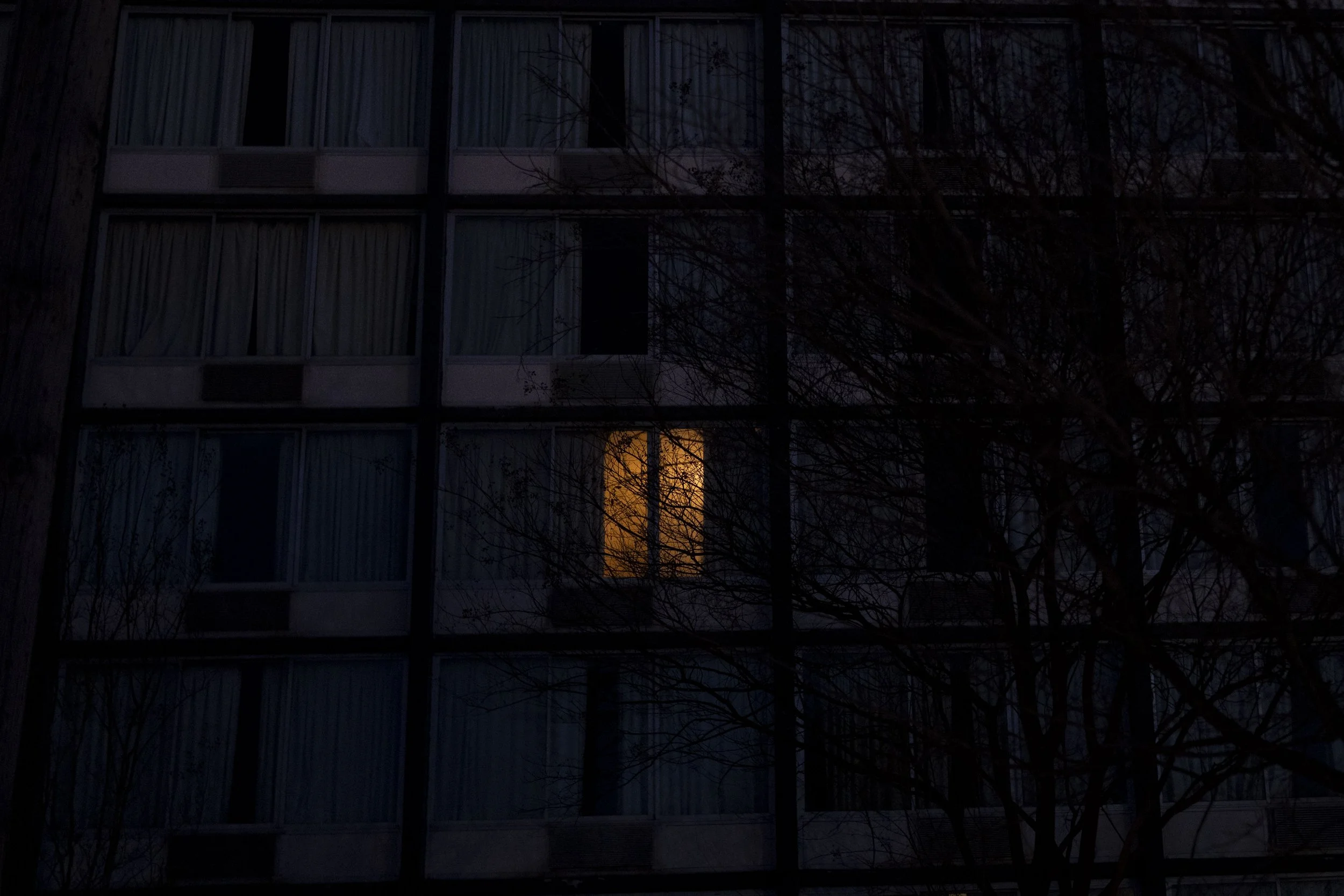  Tristan and his great-aunt were at the inn for less than two weeks before she turned him over to the state. 