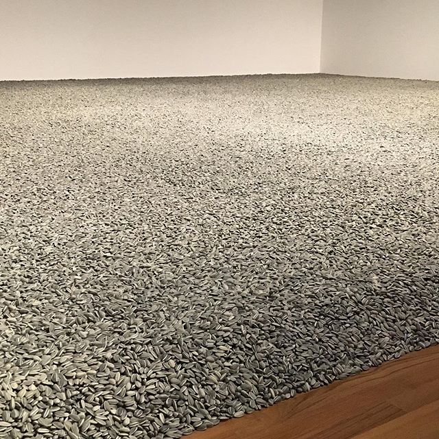 This is what I came to see 🌻 ‘Sunflower Seeds’ by Ai Weiwei. Each of the millions of handcrafted porcelain seeds are made by ceramic artisans in Jingdezhen, China. Each seed is also individually painted by individual artisans. @aiweiwei_studio 🌻
🌻
🌻
🌻
🌻
#jingdezhen #jingdezhenporcelain #aiweiwei #minimalismsg #minimalism #sunflower #sunflowers #sunflowerseeds #singapore #nationalgallerysingapore #artsg #china #trade #ceramics