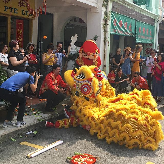 Dancing Lion tossing mandarin orange 🍊 airtime at Pek Sin Choon Pte Ltd
.
.
.
.
#liondance #singapore #tea #teasg #teamerchant #singaporeculture #lunarnewyear #yearofthepig #mosquestreet #lions #cny #cny2019 #oranges #peksinchoon #caishen