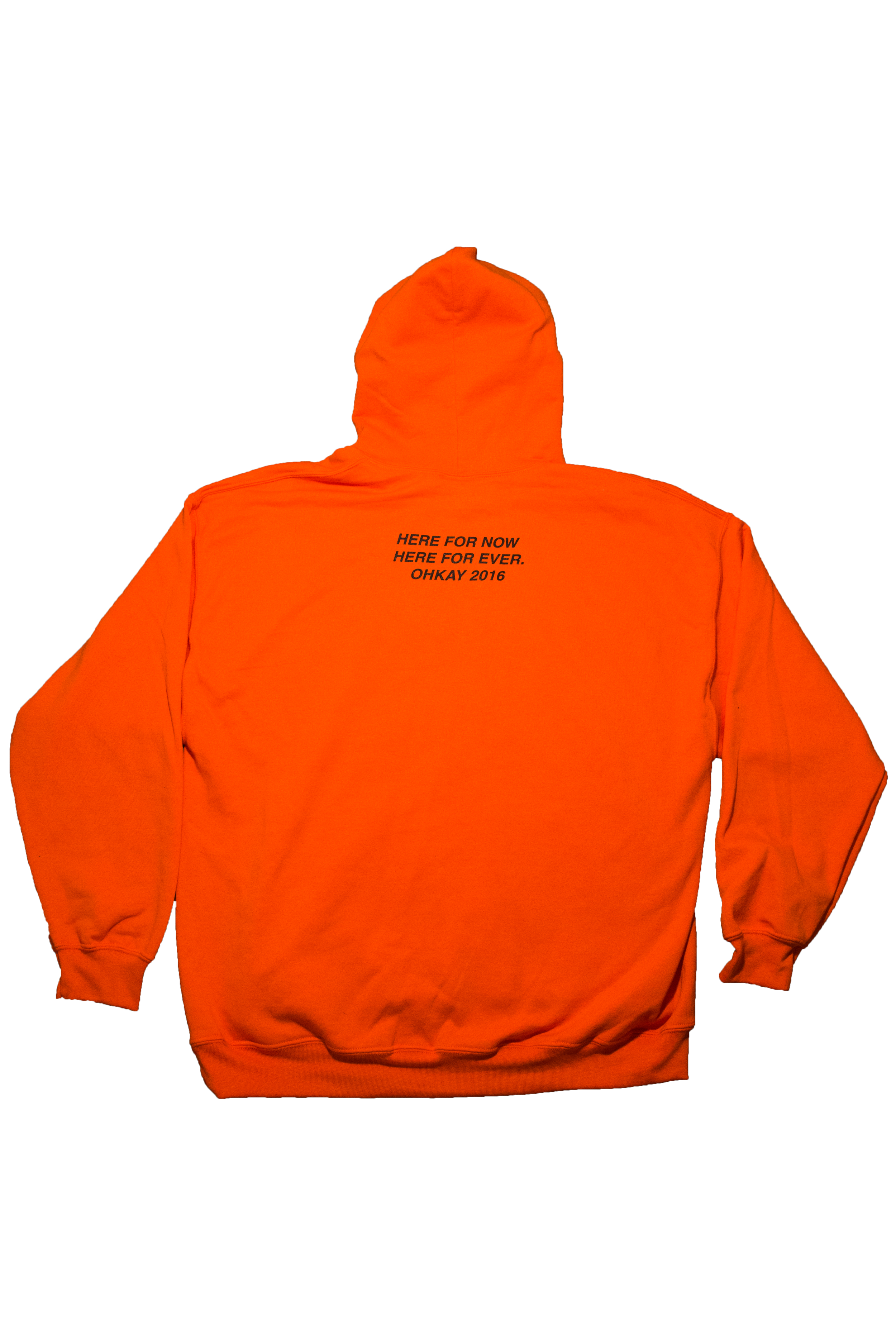 HOODIE BACK.png