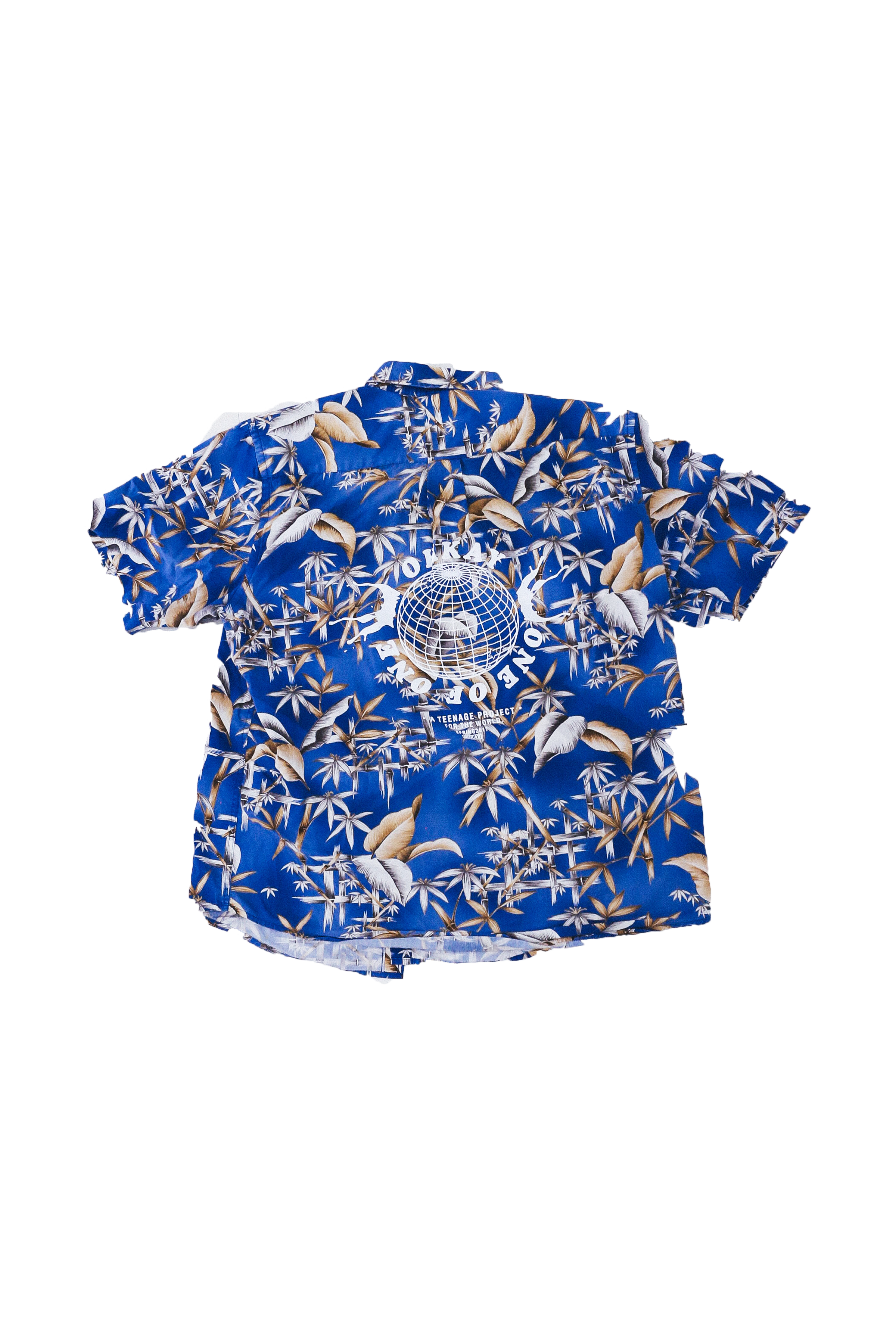 blue floral back.png
