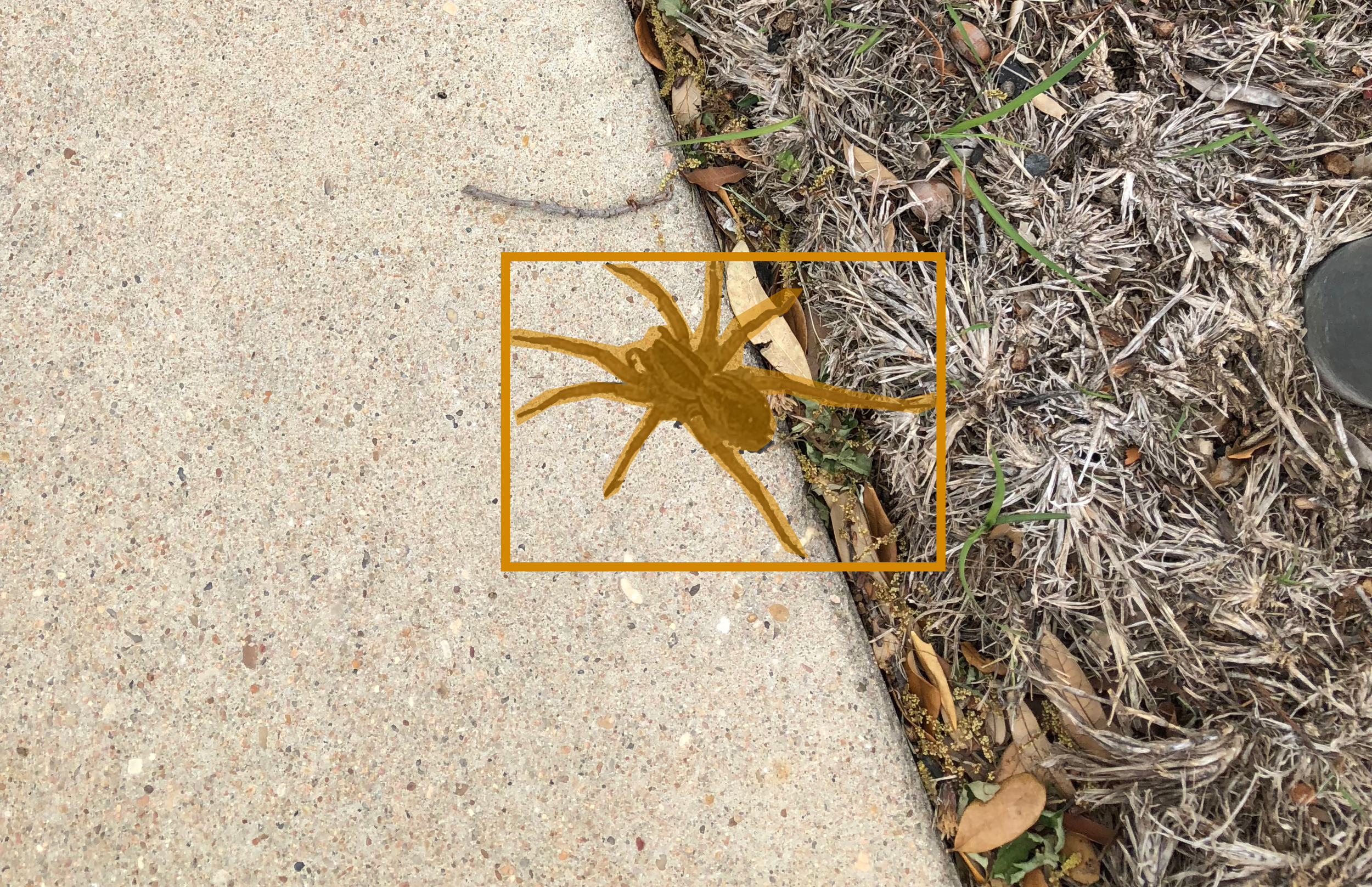 Synthetic Datasets for Training AI