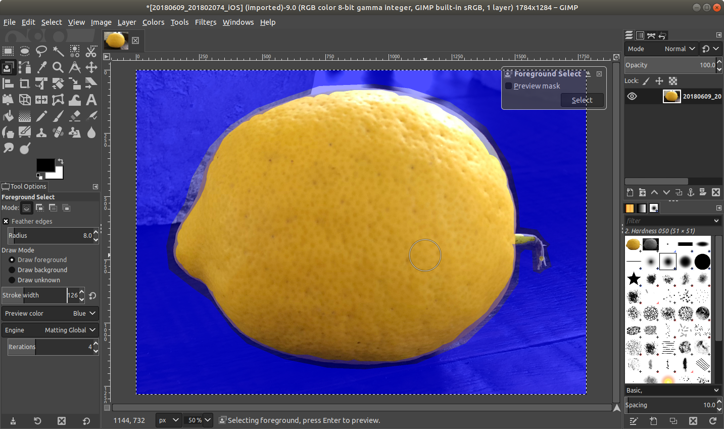 gimp_lemon_foregroundselected.png