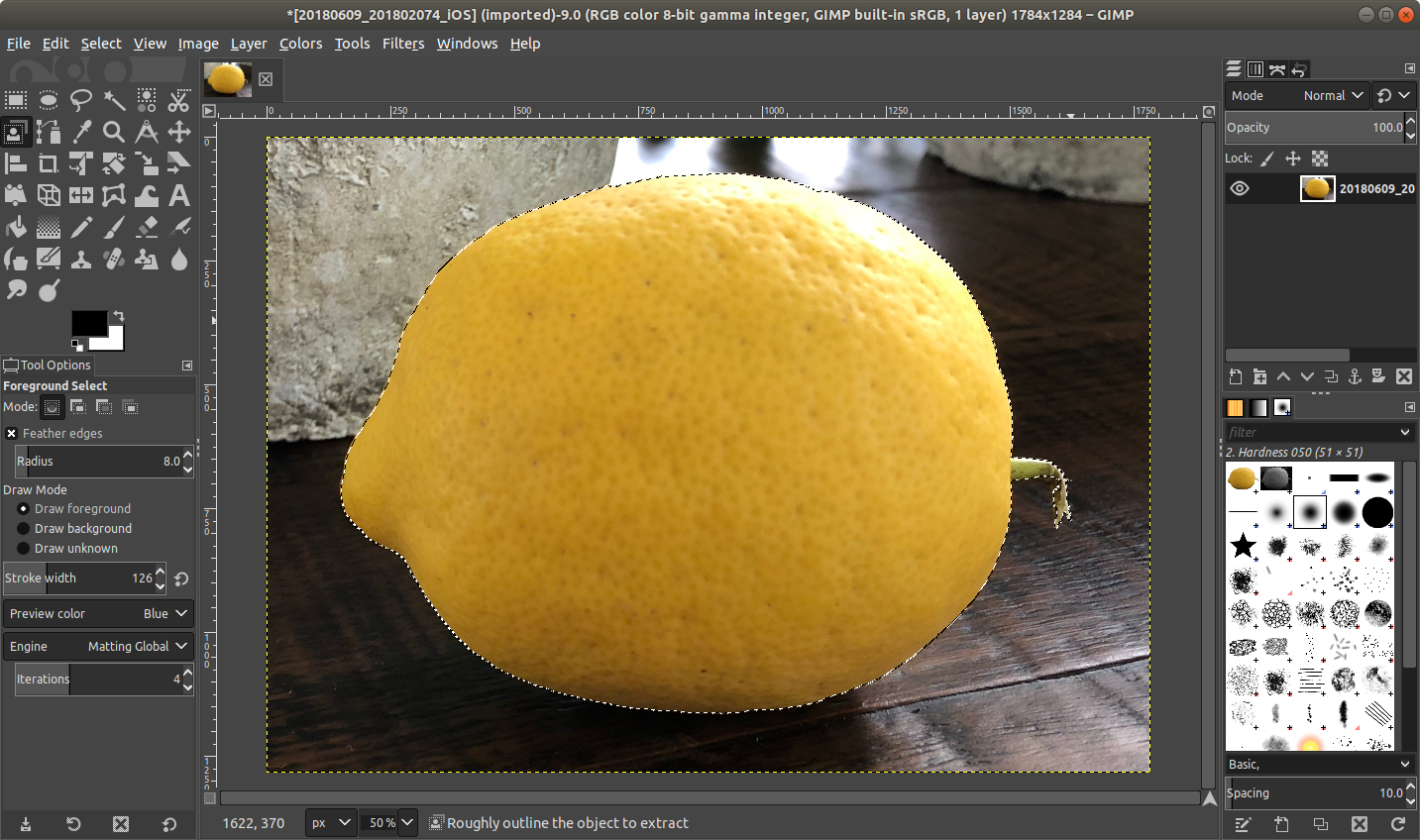 gimp_lemon_selected.png