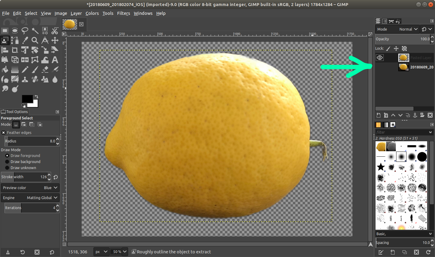 gimp_lemon_isolated.png