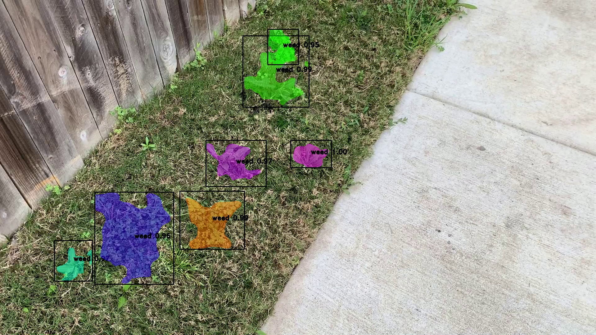 Weeds detected in an image using deep learning