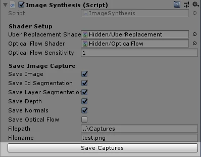 save_captures_button.jpg