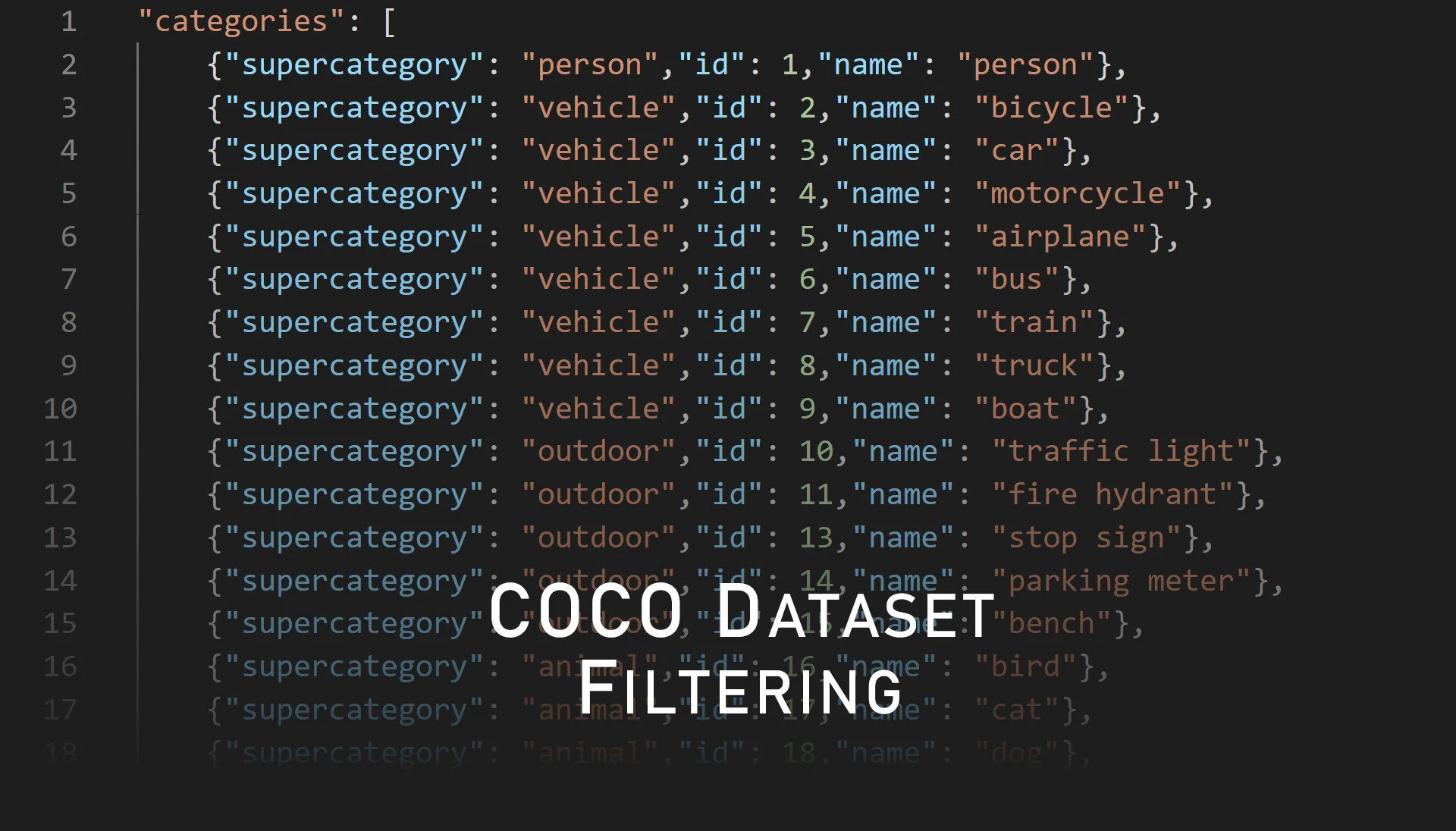 How to Filter the COCO Dataset by Category