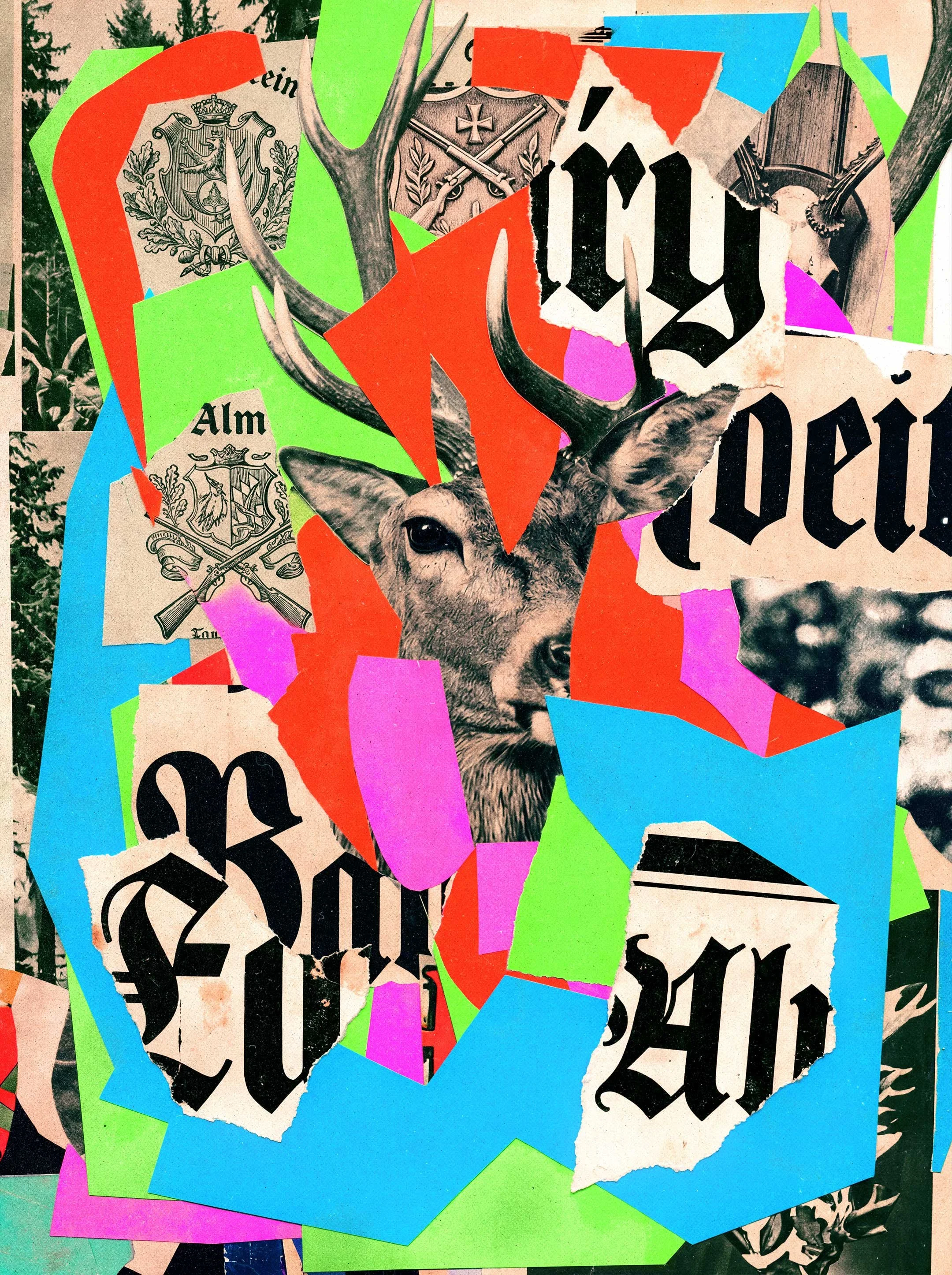 Danilo-Brandao_Collage_Art_2.jpg
