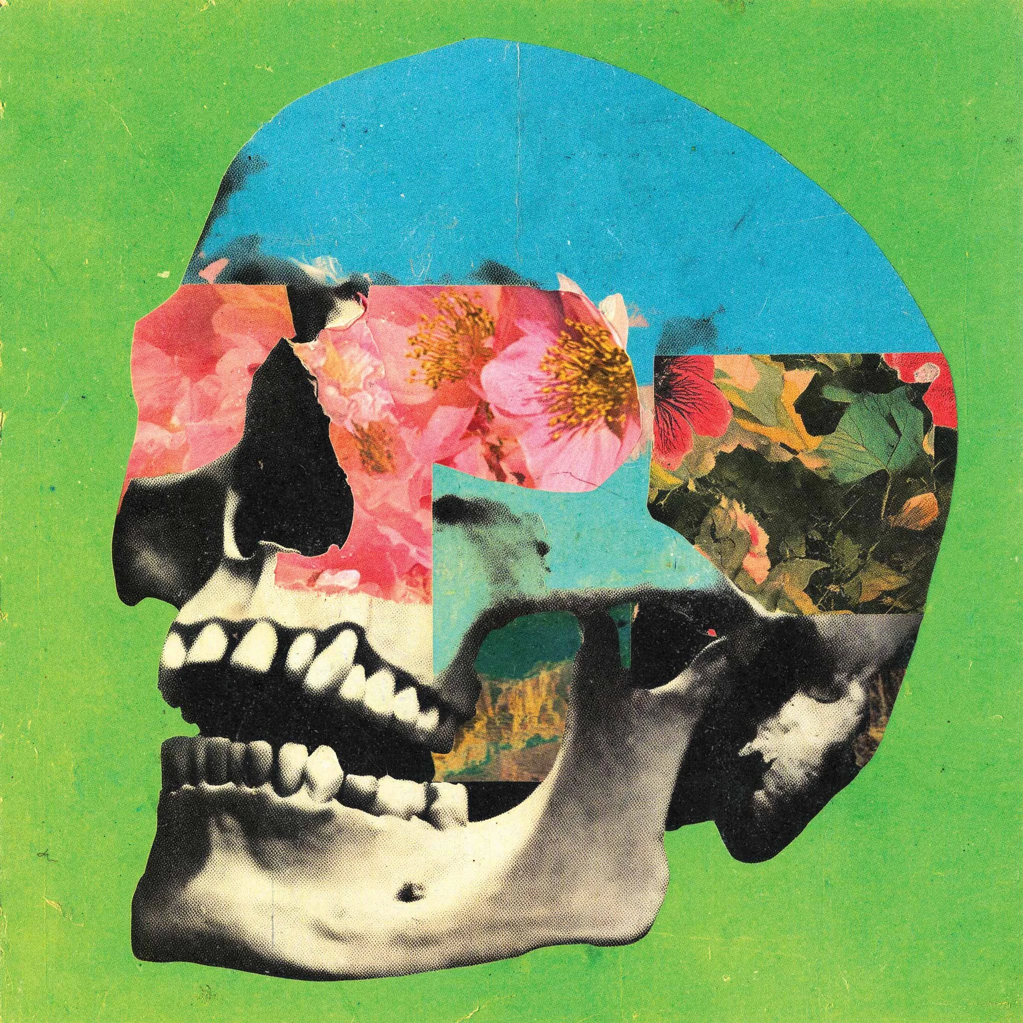 DaniloBrandao_Skull_5.jpg