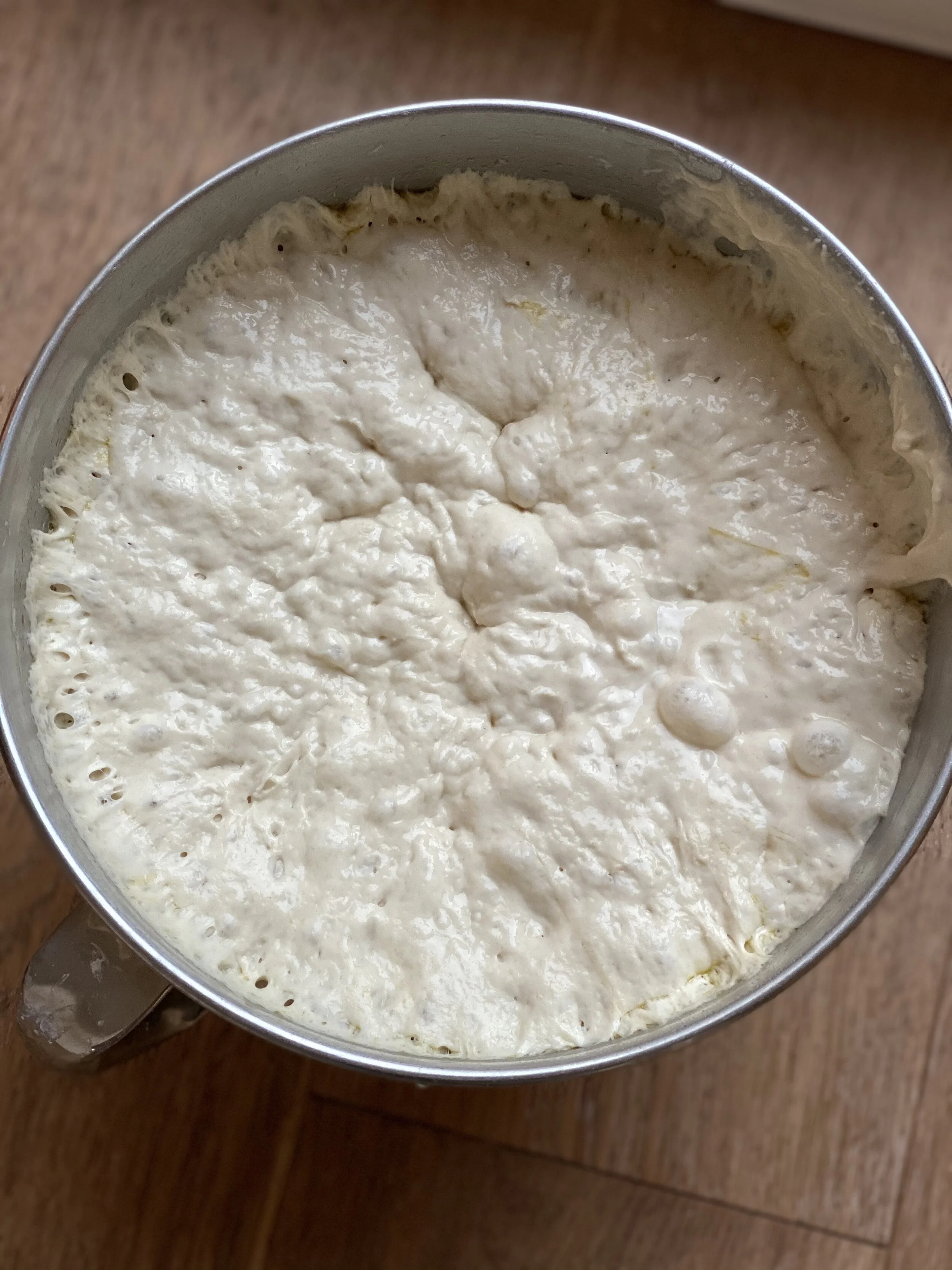 Overnight Pizza Dough — mike martin