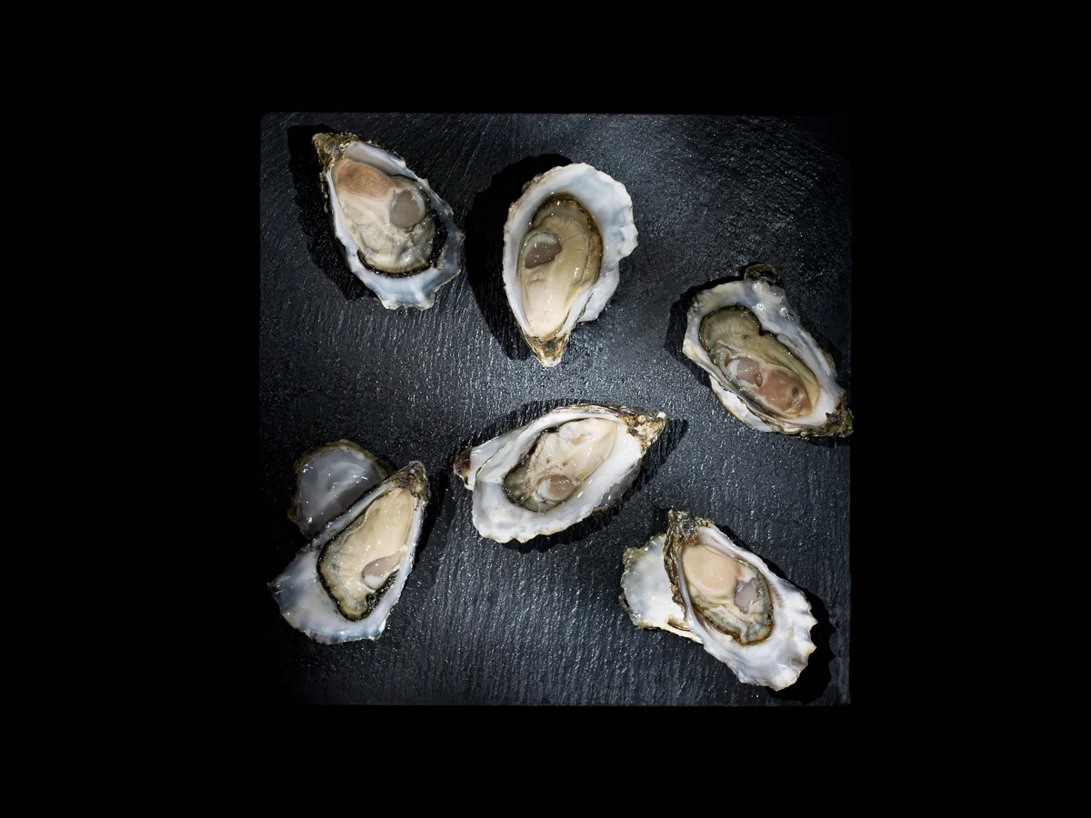 20120828_Mr&Mrs Bund_4497894_Oysters Gillardeau Tradition.jpg