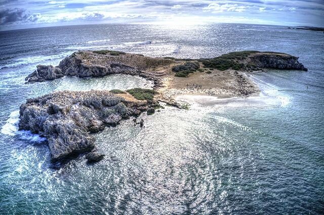 Saturdays Flight pics of Penguin Island. There was a 4 metre White Shark the day b4. #drones #dronephotography #djimavicpro2 #scottphoto #limelight_shanghai #perthisok #aerial  #perthlife #aussie #westernaustralia #landscape #island