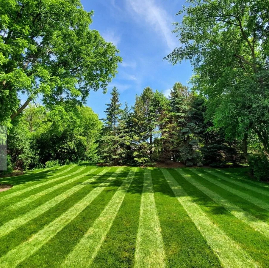 Striped lawn maintained by Home Pride Landscape and Design