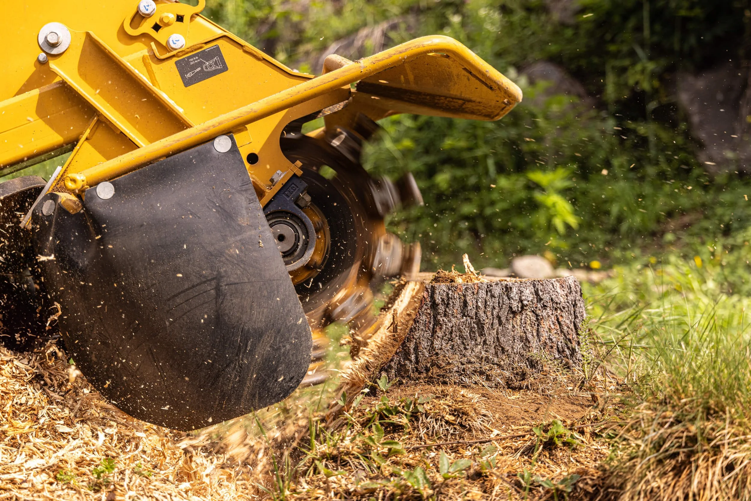 Stump grinder removing a tree stump from a residential property