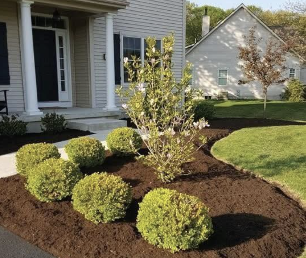Fresh brown mulch installed around shrubs in a residential landscape bed