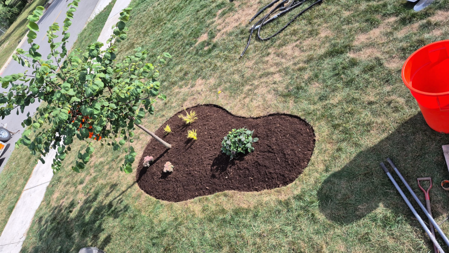 Newly installed landscape bed with plants, fresh mulch and a defined edge