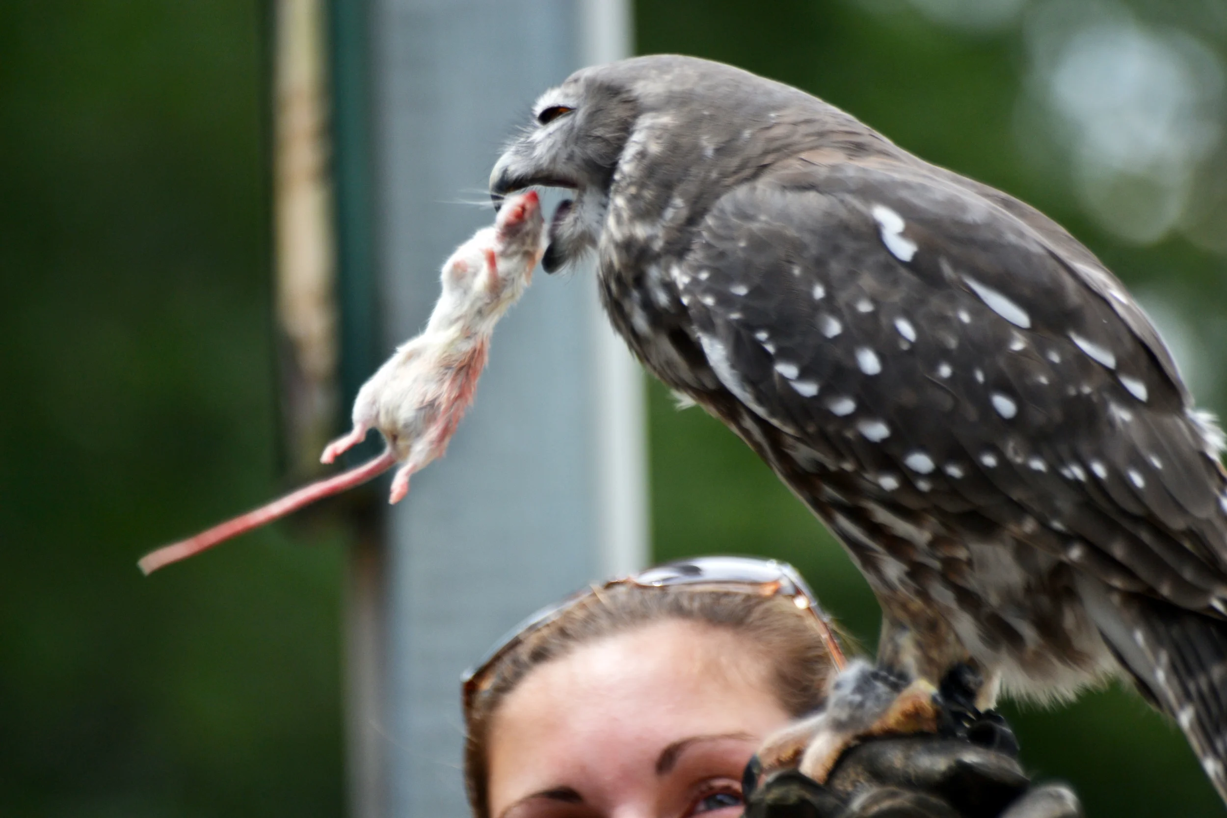 DSC_2938.JPG