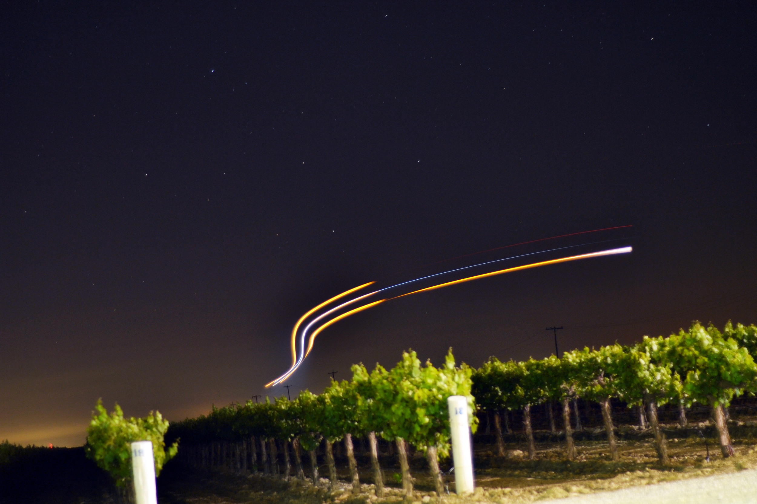 DSC_3458.JPG
