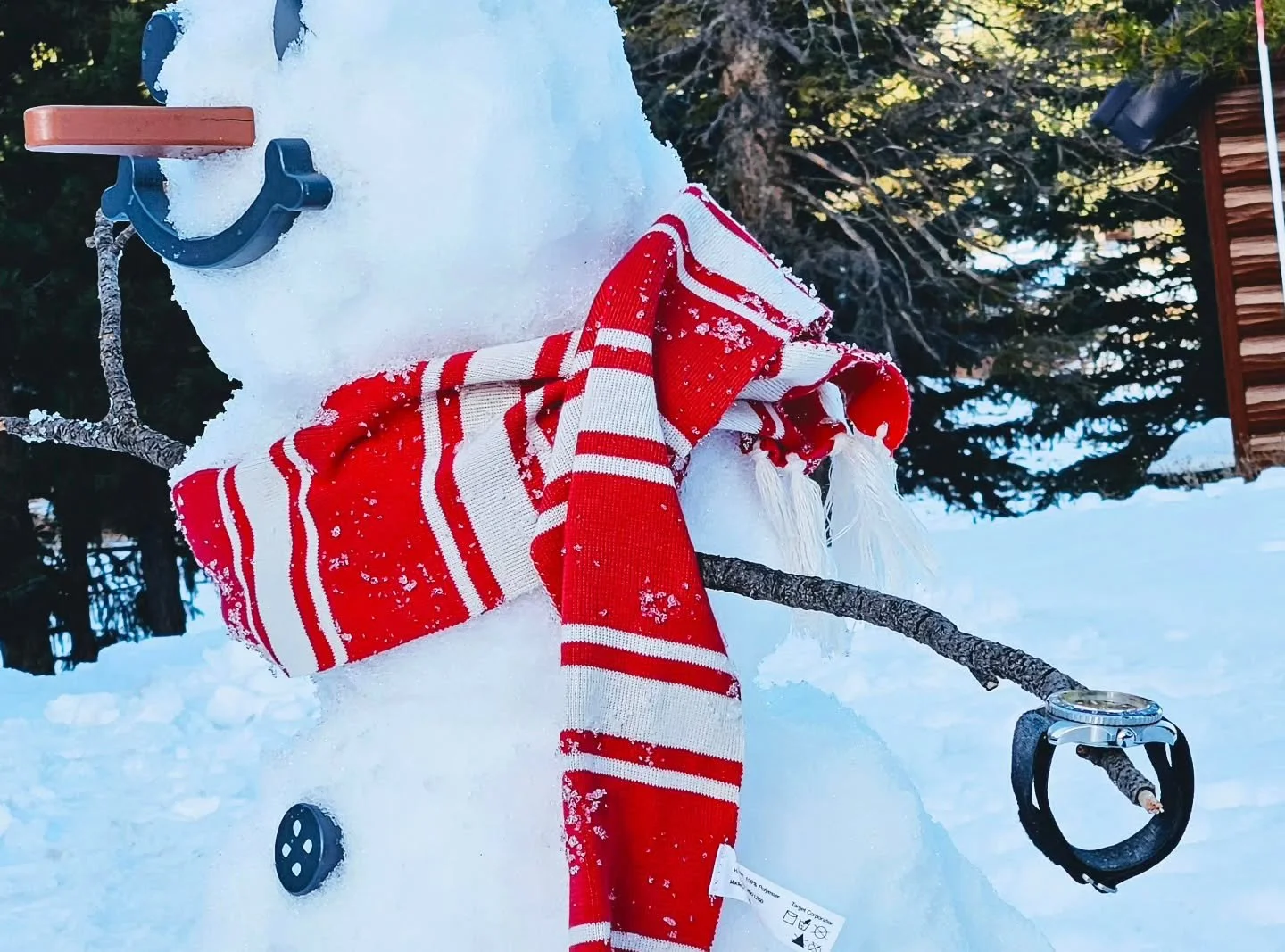 While your belts may become tighter on this day, at least your NMD watch straps won't know the difference 😉 

(Unless you're wearing one of my elastic Re-Entry belts 😁)

Wishing you all a safe and Happy Thanksgiving! 🦃
.
.
.
#chronogrip #hookstrap