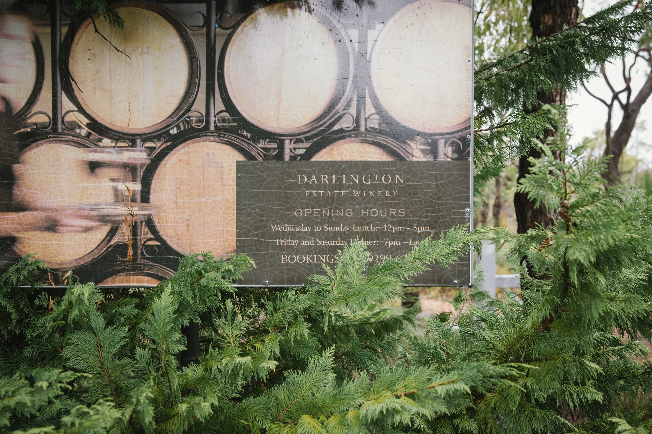 Rustic Hipster Wedding (19).jpg