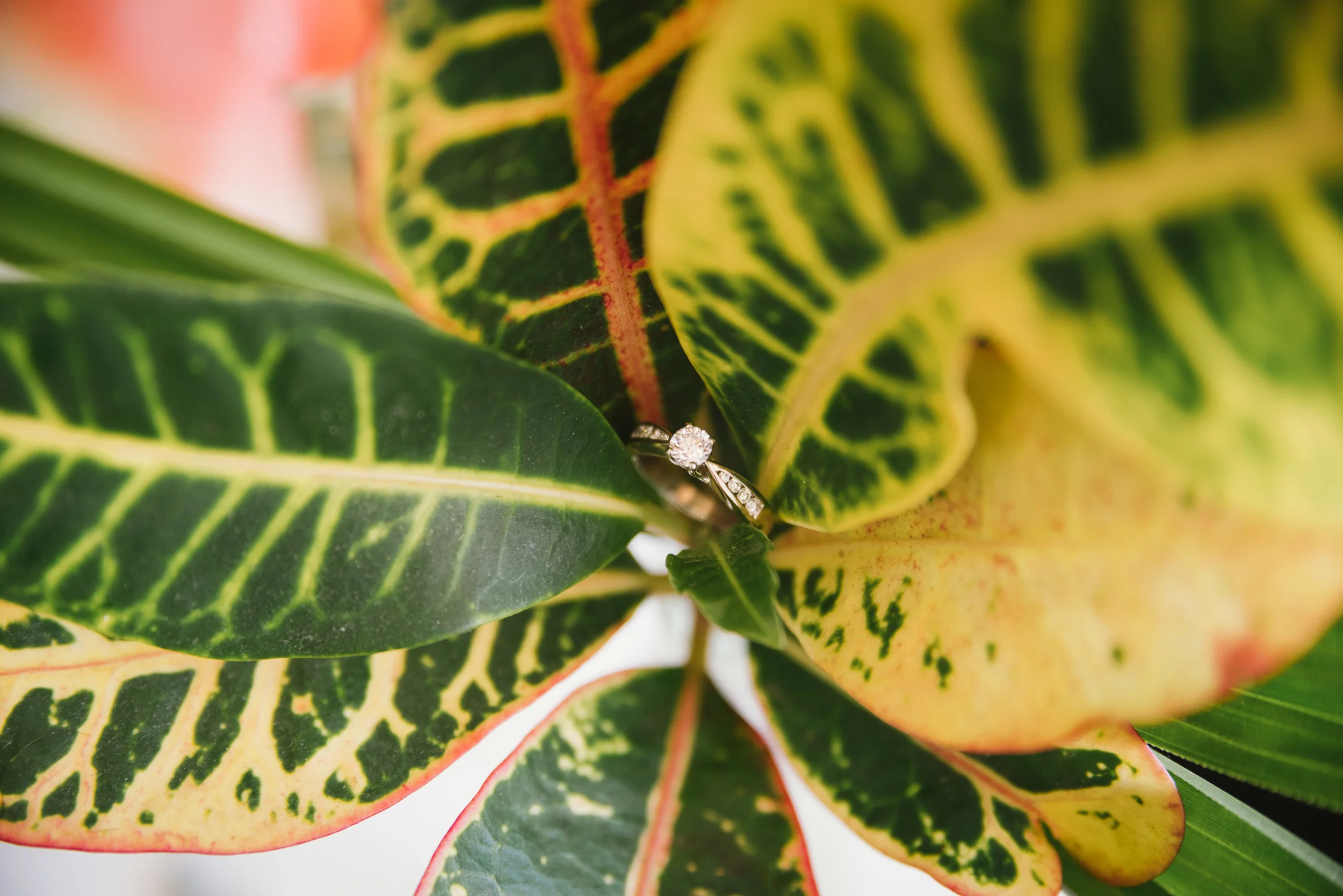 Journal — Angie Roe Photography | Professional Photographer, Perth ...