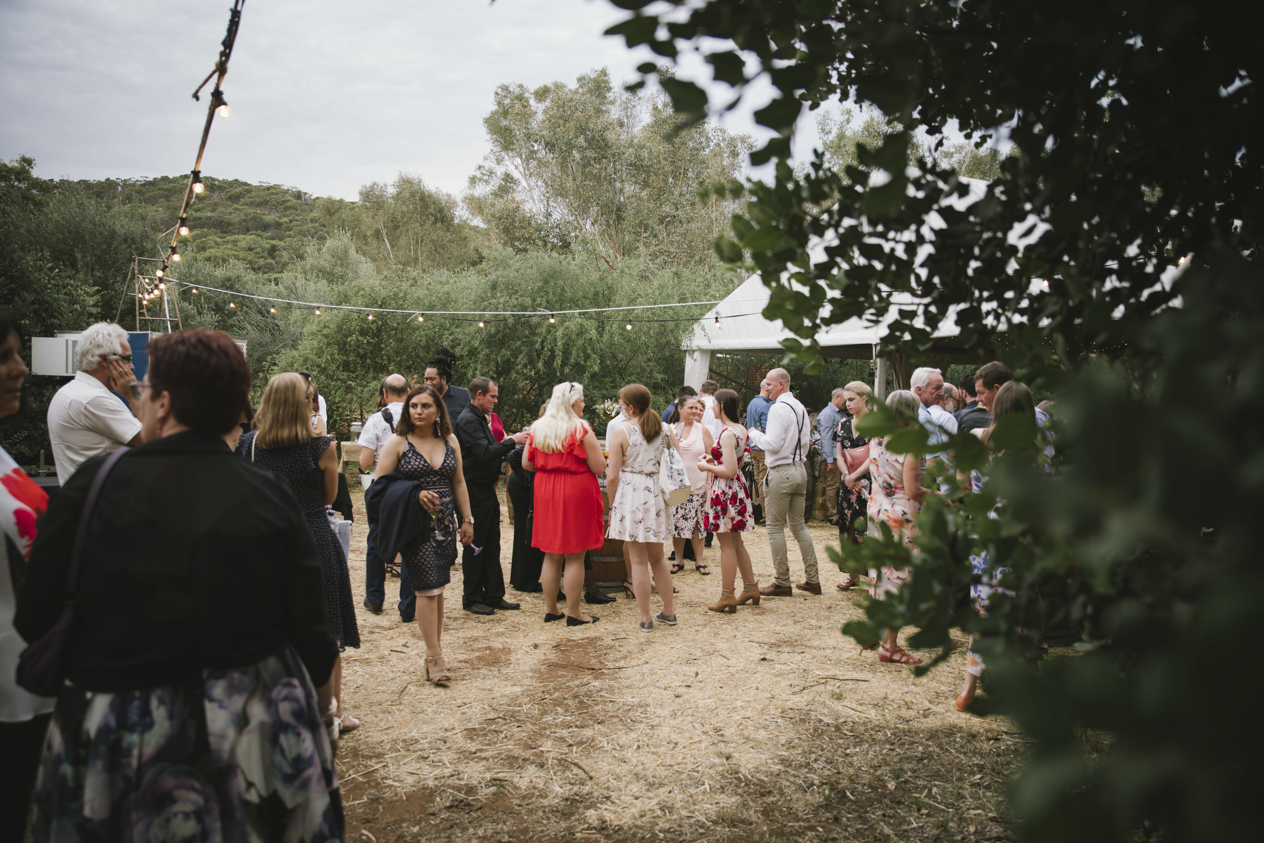 Avon Valley Toodyay Rustic Rural Festival Wedding  (73).jpg