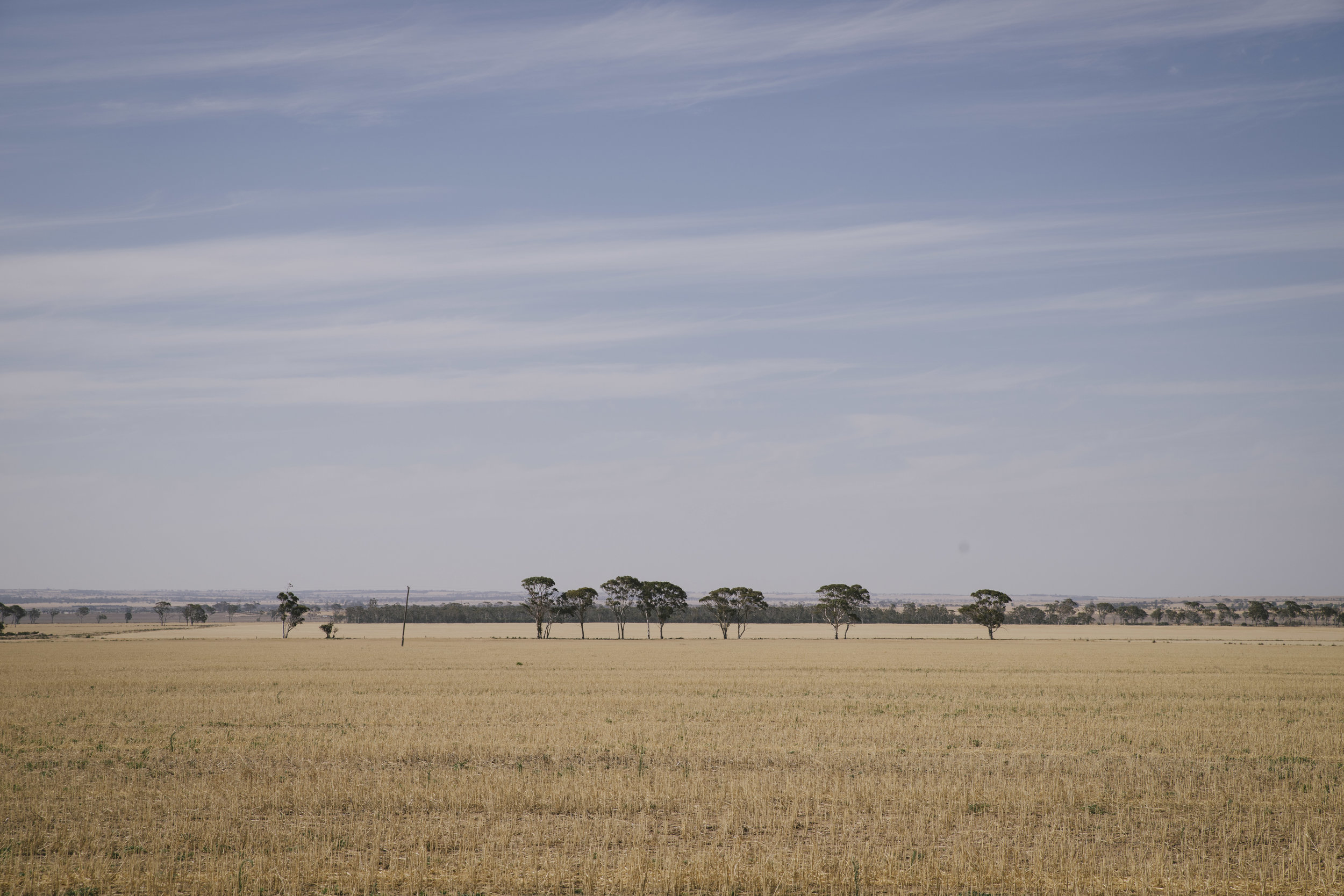 Wheatbelt Merredin Rustic Rural Farm Wedding (0).jpg