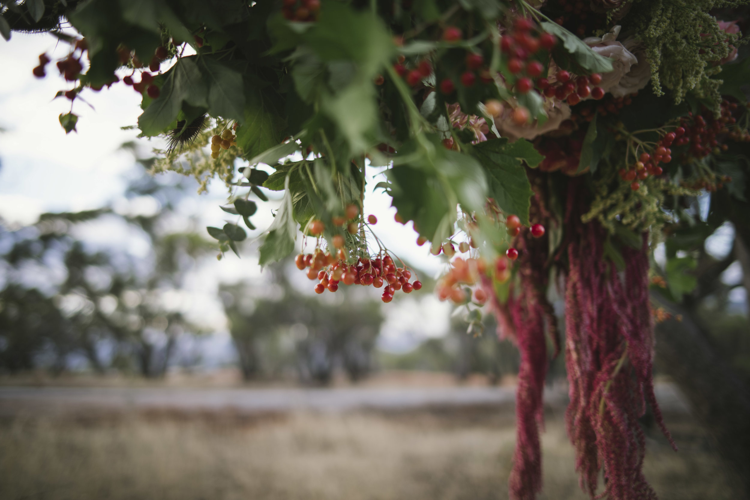 Wheatbelt Collective Rustic Rural Farm Boho Wedding York Northam (24).jpg