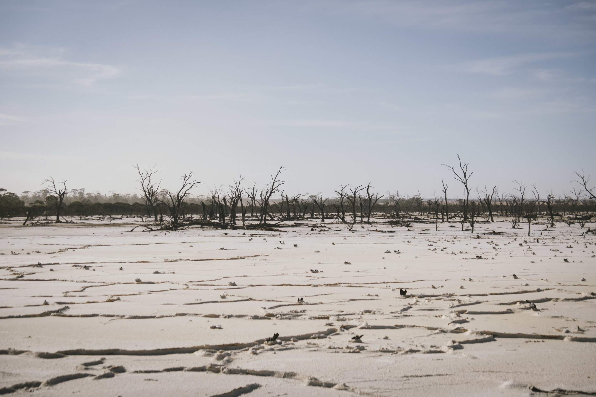 Angie Roe Photography Wheatbelt Rural Farm Landscape Seeding (6).jpg