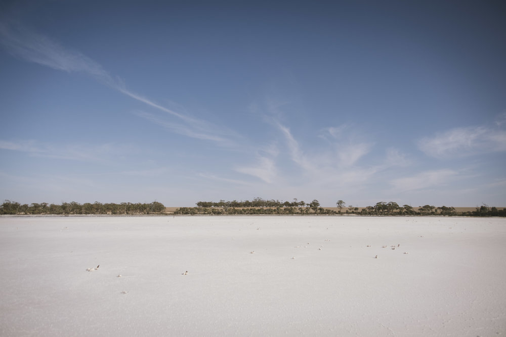 Angie Roe Photography Wheatbelt Rural Farm Landscape Seeding (7).jpg