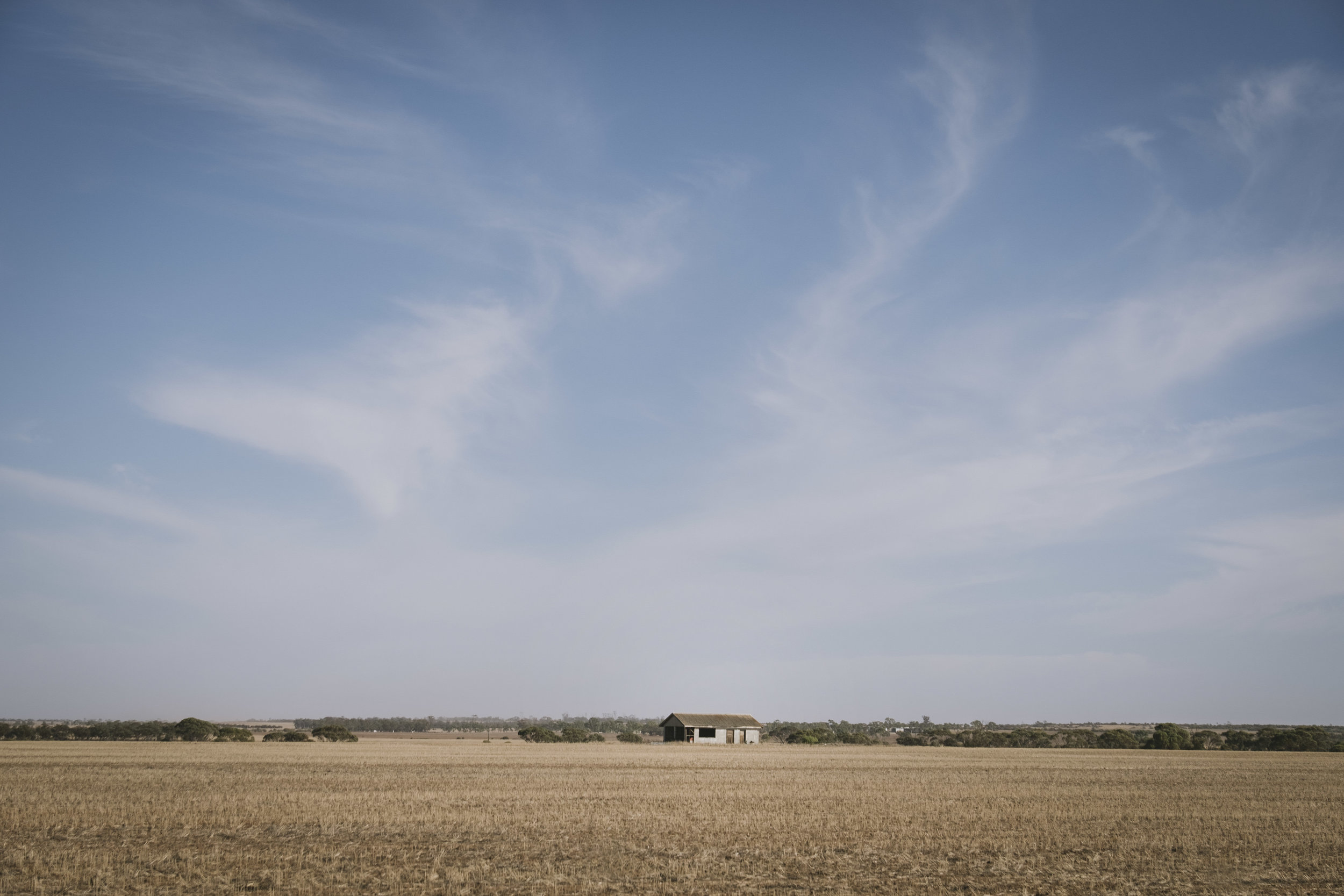 Angie Roe Photography Wheatbelt Rural Farm Landscape Seeding (8).jpg