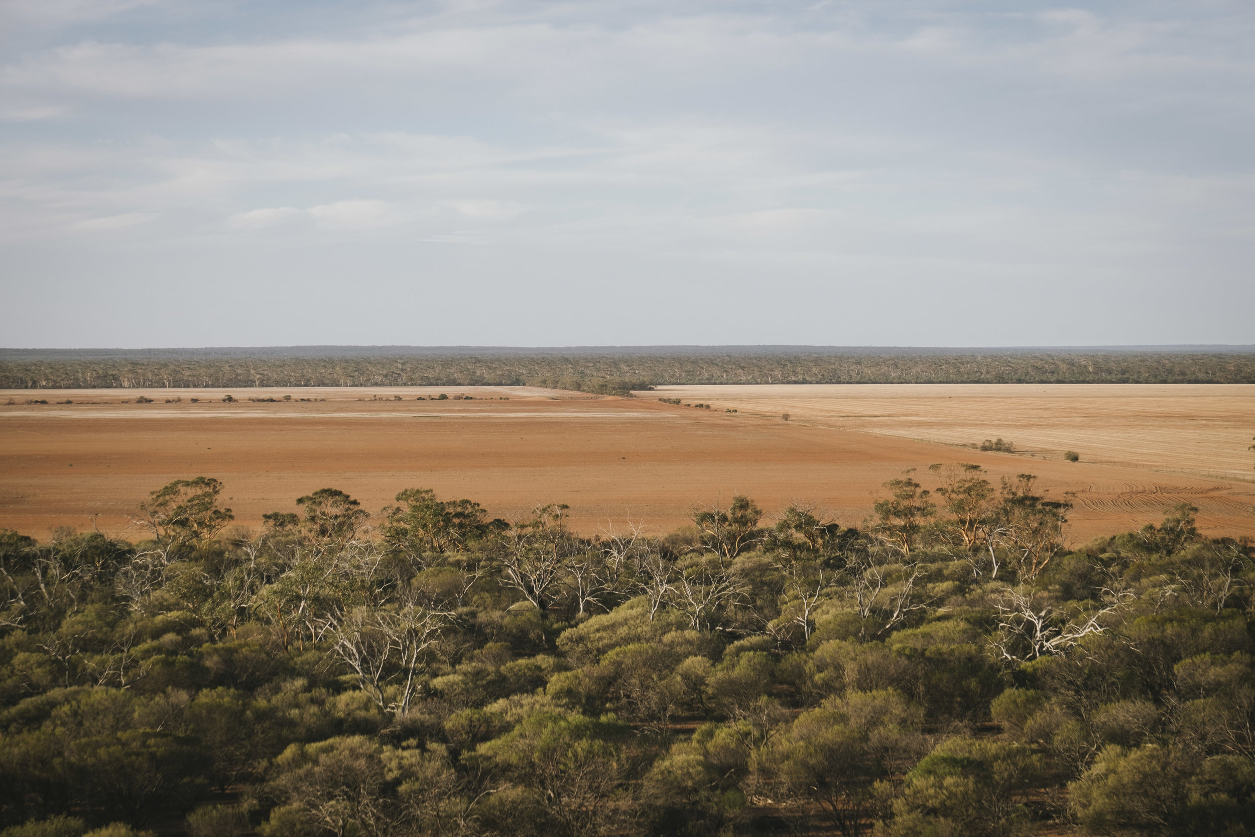 Angie Roe Photography Wheatbelt Rural Farm Landscape Seeding (16).jpg