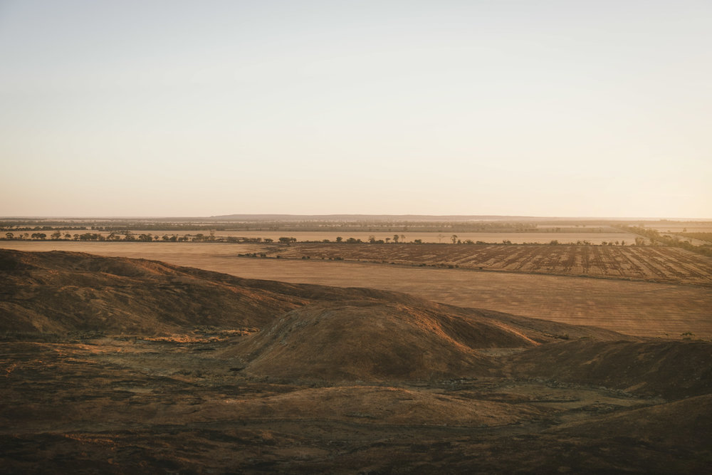 Angie Roe Photography Wheatbelt Rural Farm Landscape Seeding (22).jpg