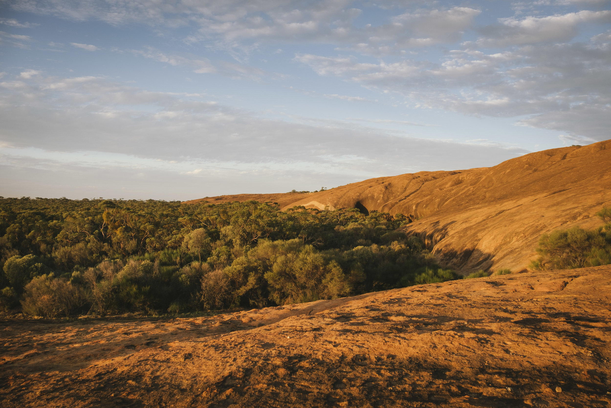 Angie Roe Photography Wheatbelt Rural Farm Landscape Seeding (23).jpg