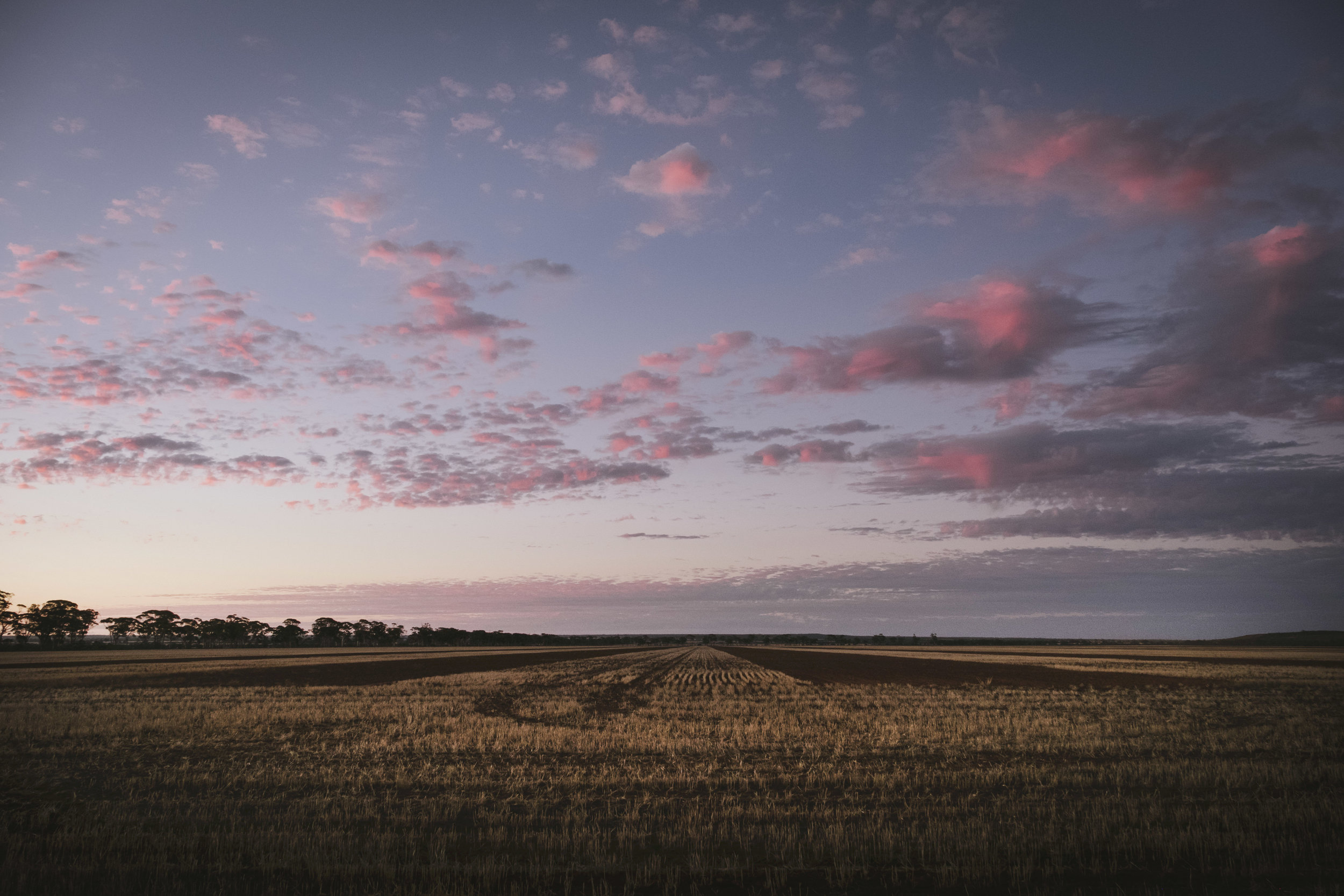 Angie Roe Photography Wheatbelt Rural Farm Landscape Seeding (26).jpg