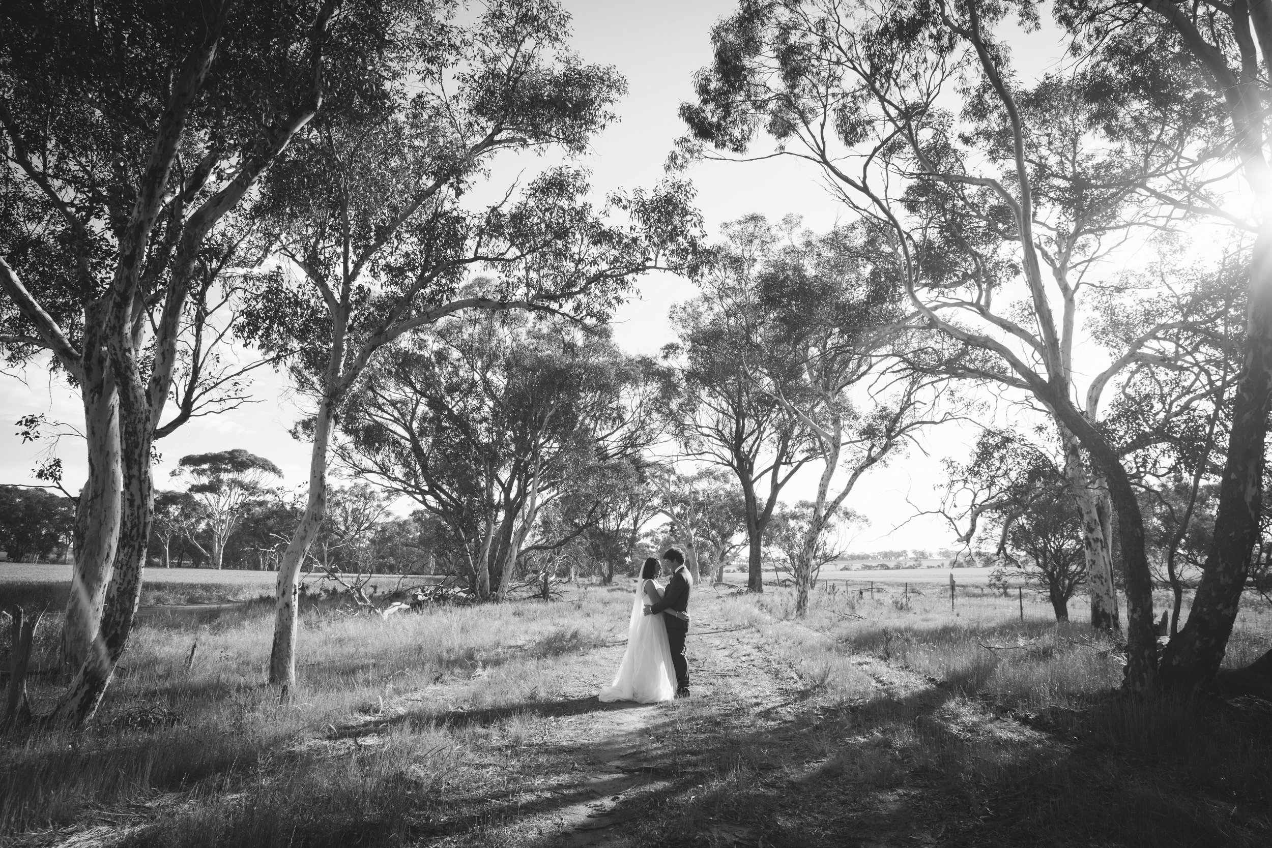 Angie Roe Photography Wheatbelt Avon Valley Farm Wedding (40).jpg