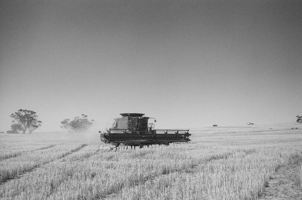 Angie-Roe-Photography-Harvest-Rural-Wheatbelt-Farm-Documentary (1).jpg