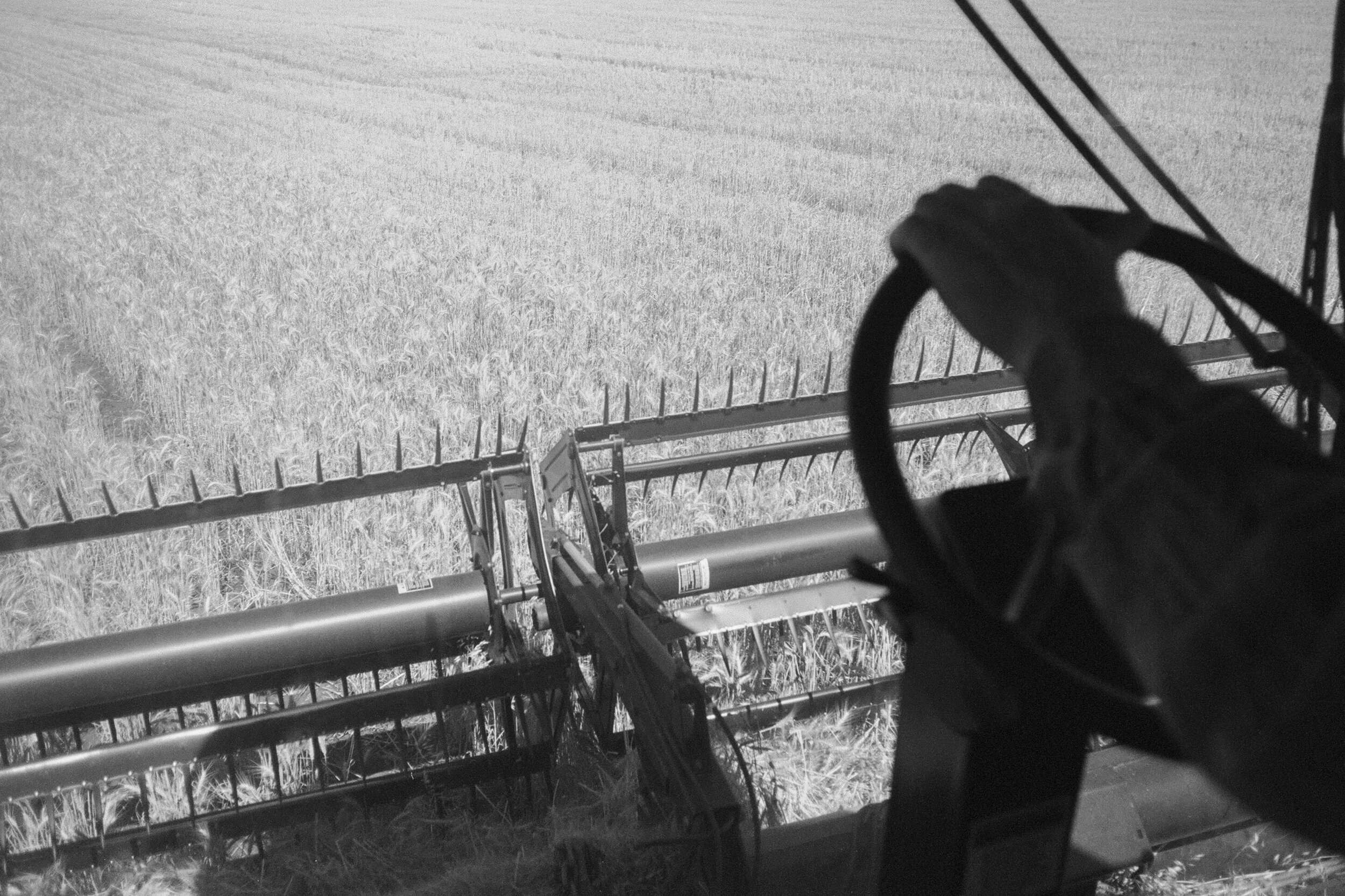 Angie-Roe-Photography-Harvest-Rural-Wheatbelt-Farm-Documentary (3).jpg