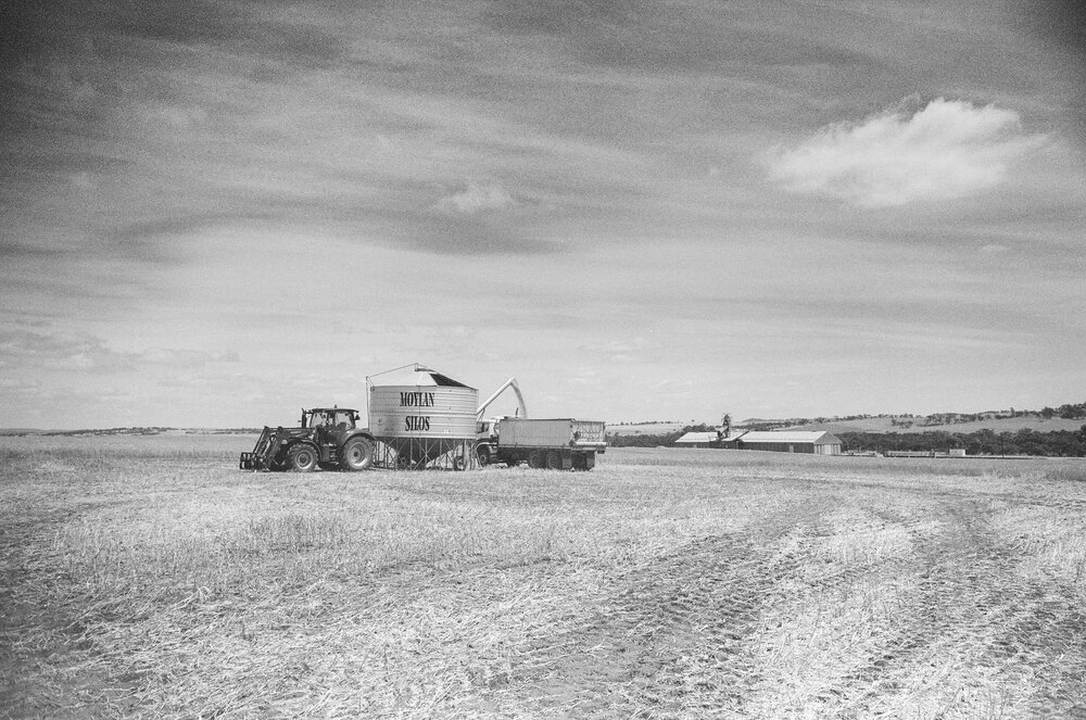 Angie-Roe-Photography-Harvest-Rural-Wheatbelt-Farm-Documentary (5).jpg