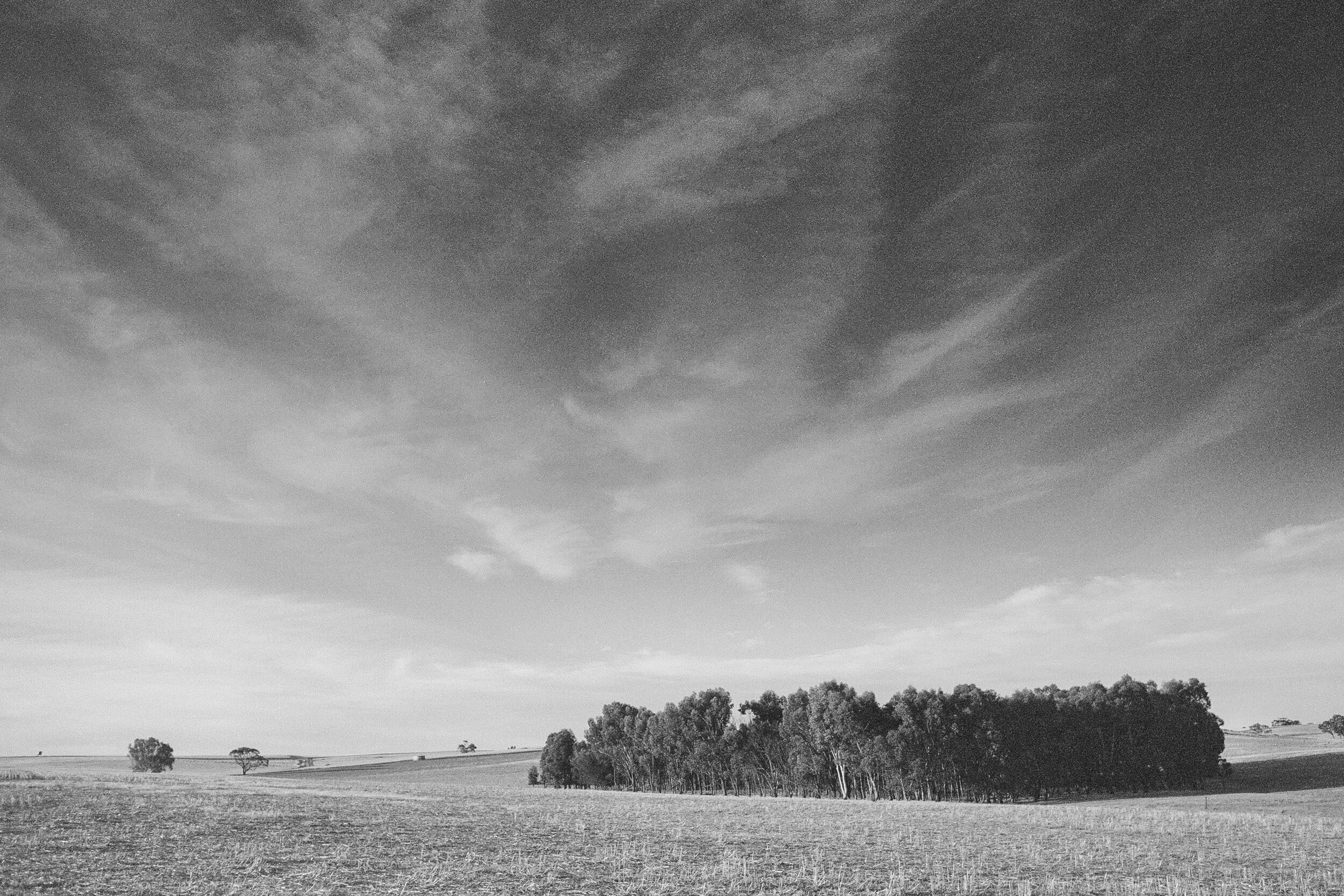Angie-Roe-Photography-Harvest-Rural-Wheatbelt-Farm-Documentary (23).jpg